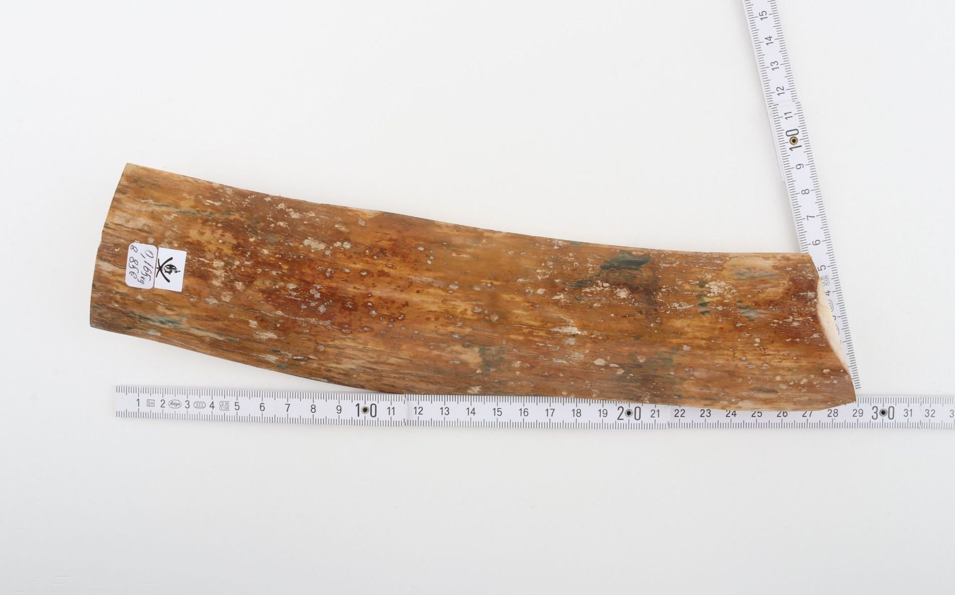 Caramel mammoth bark