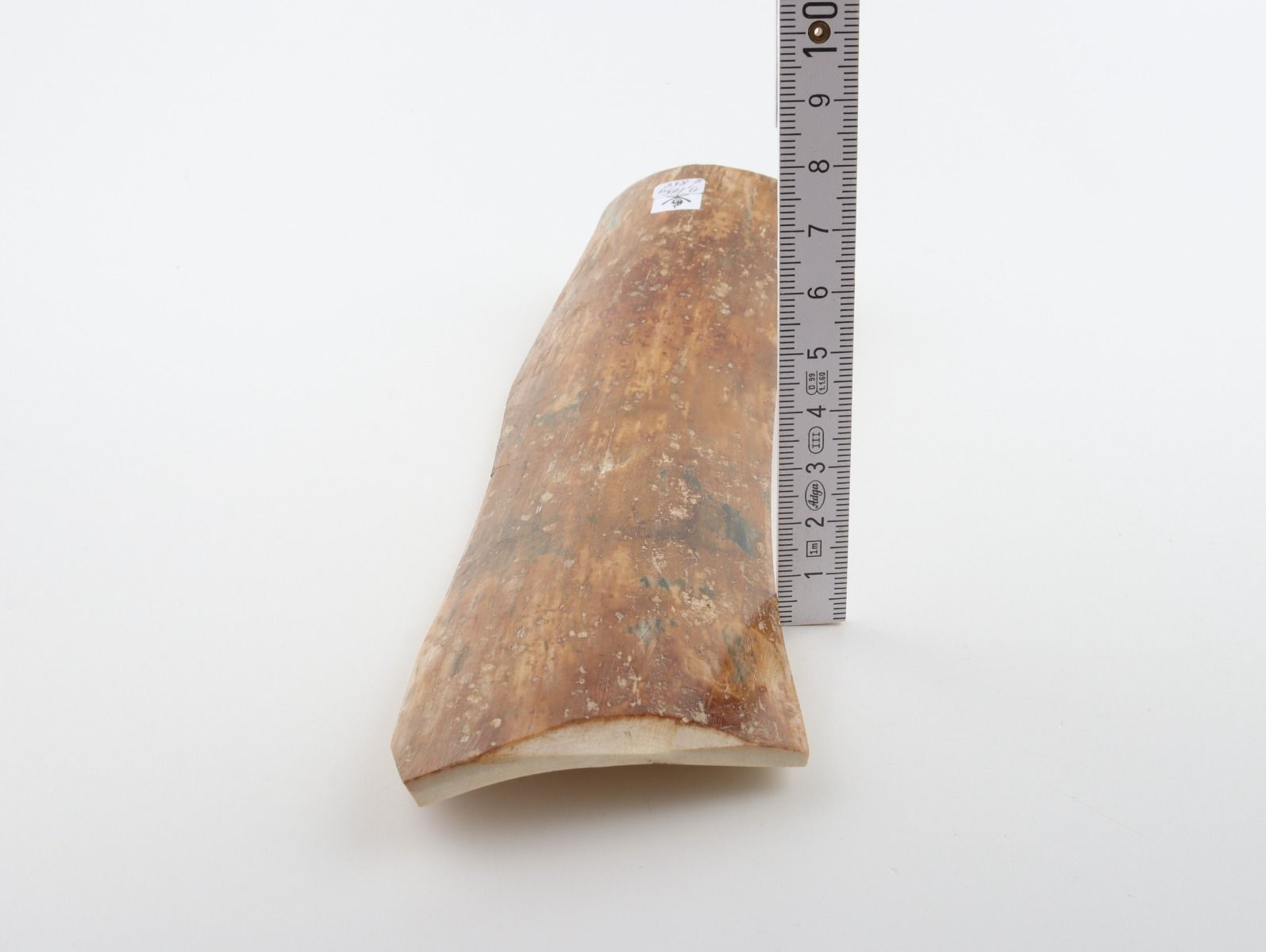 Caramel mammoth bark