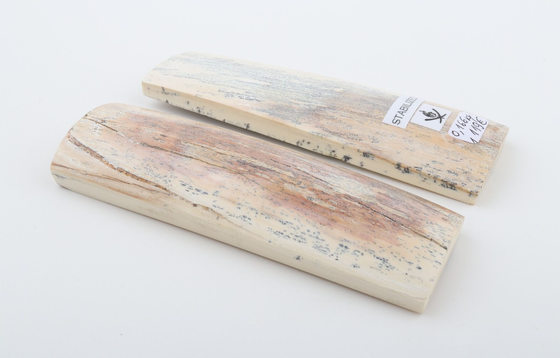 Stabilised mammoth bark scales