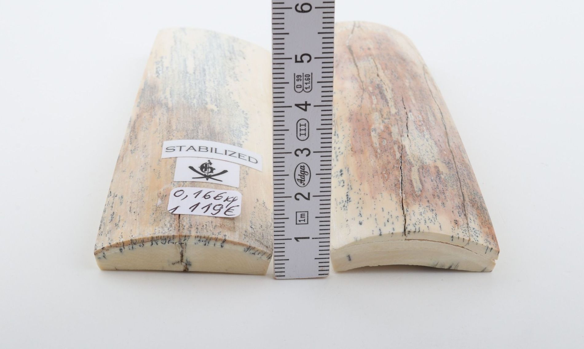 Stabilised mammoth bark scales