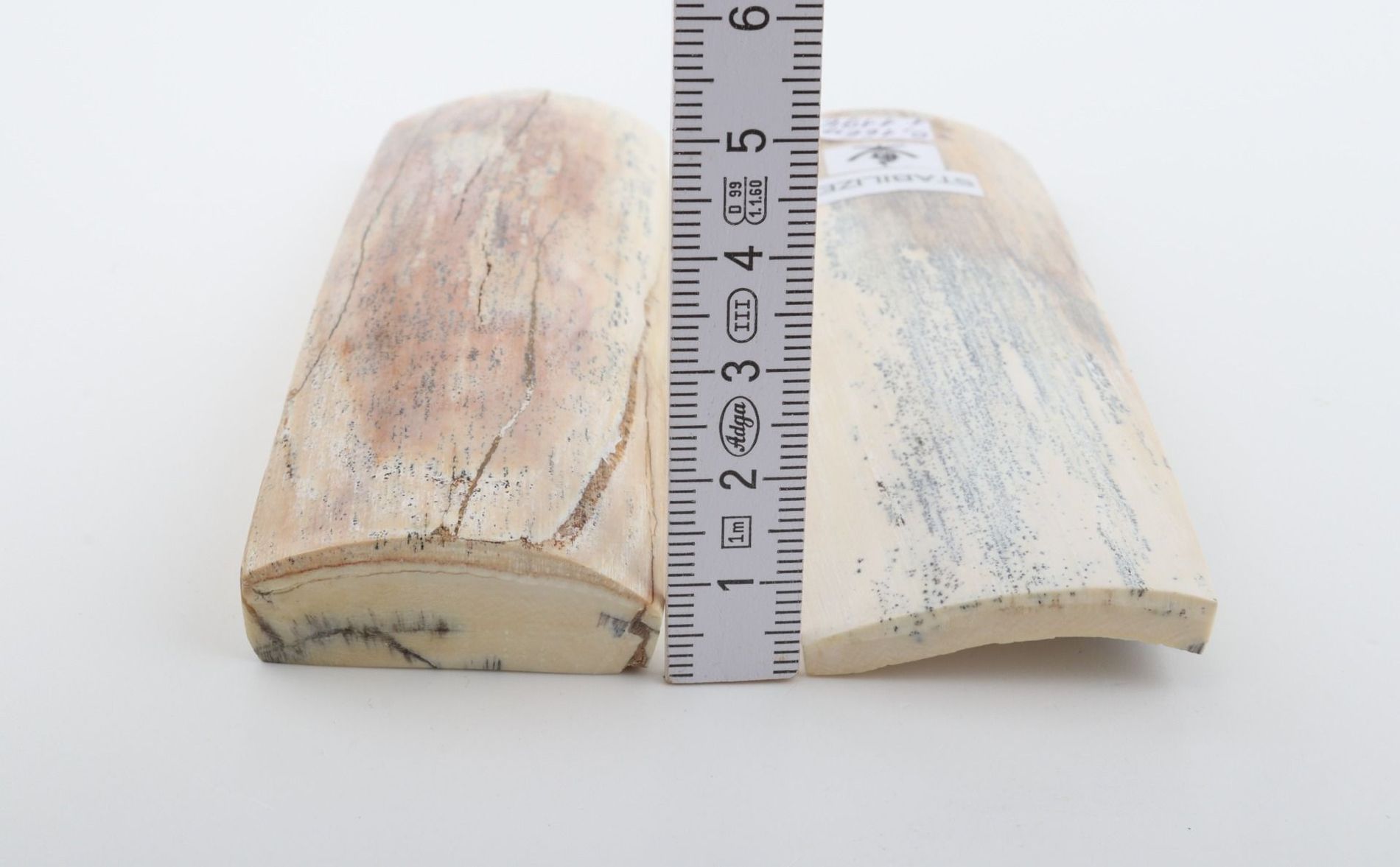 Stabilised mammoth bark scales