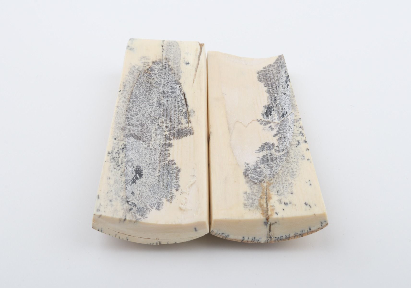 Stabilised mammoth bark scales