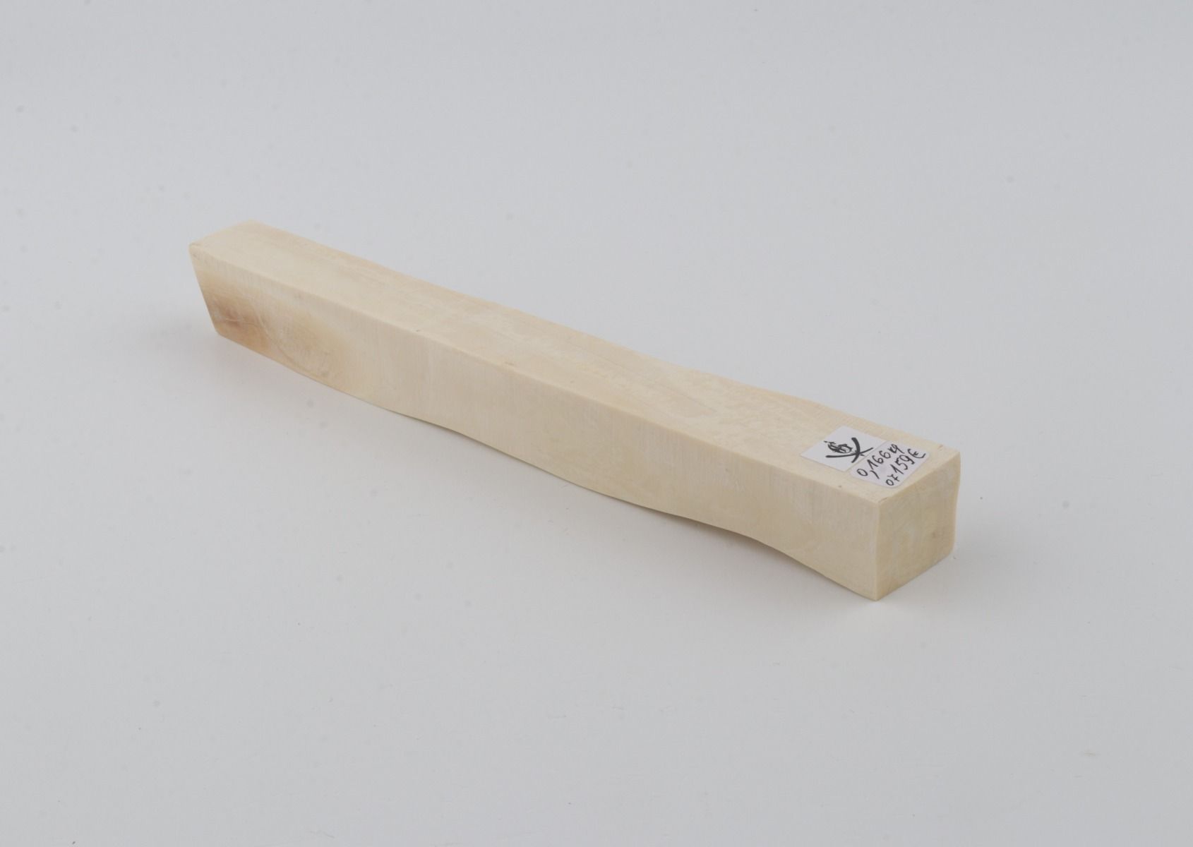 White mammoth ivory segment