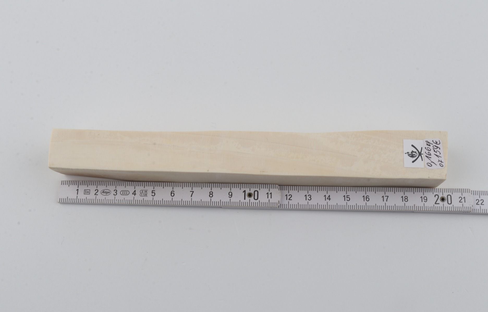 White mammoth ivory segment