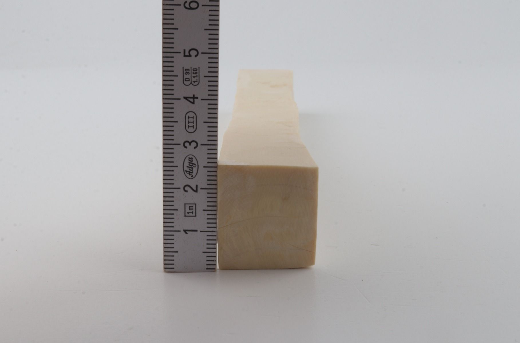 White mammoth ivory segment