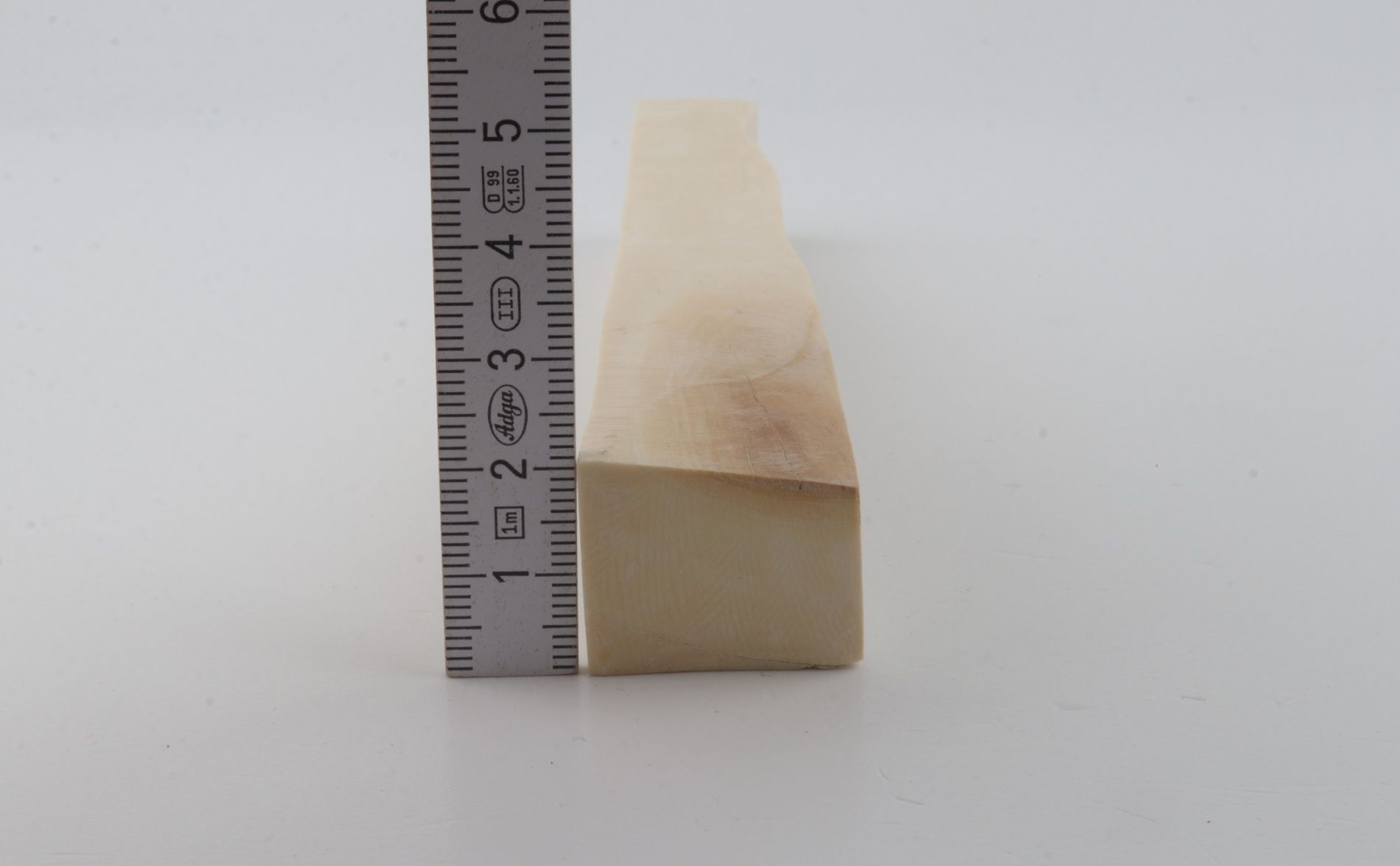 White mammoth ivory segment