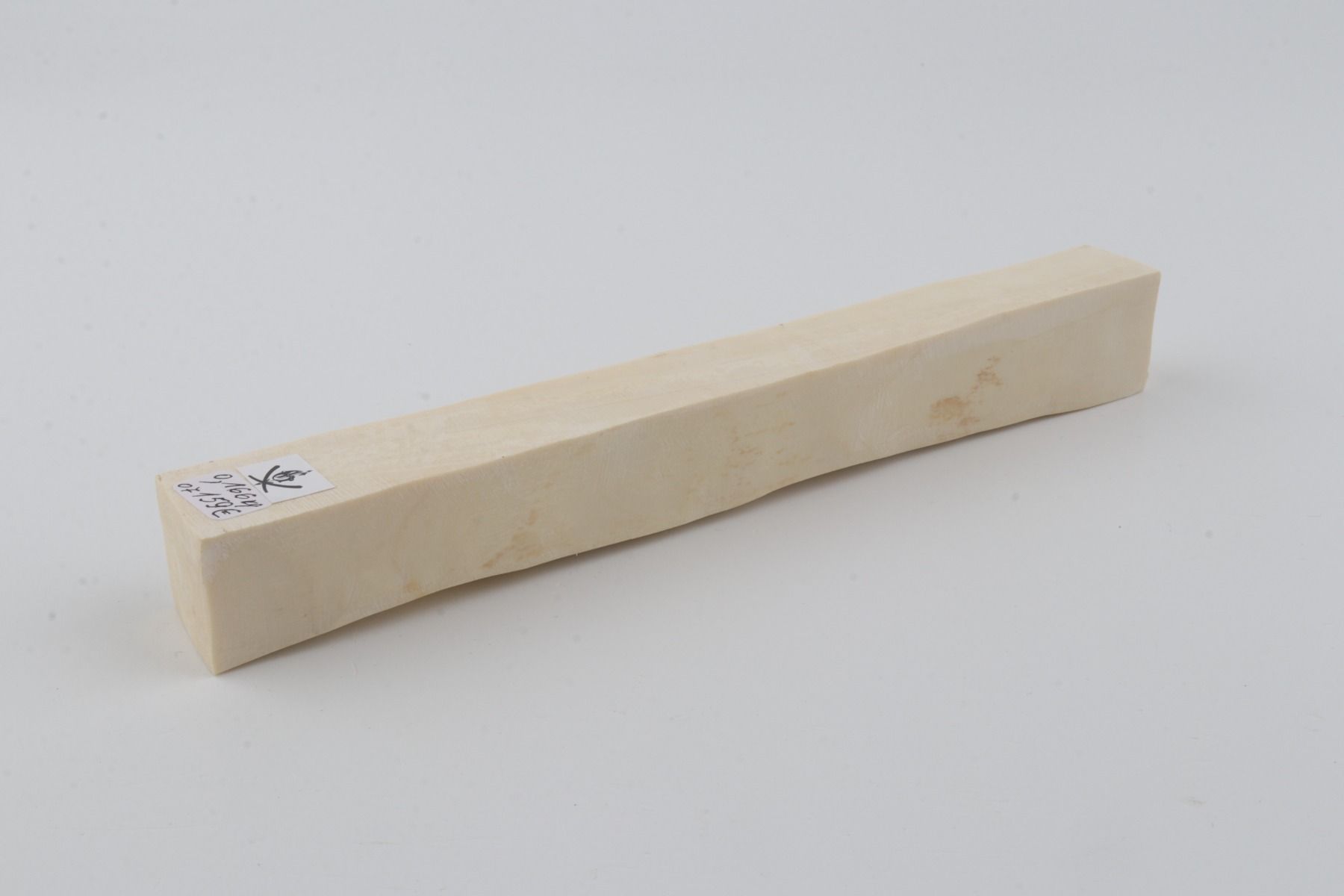 White mammoth ivory segment