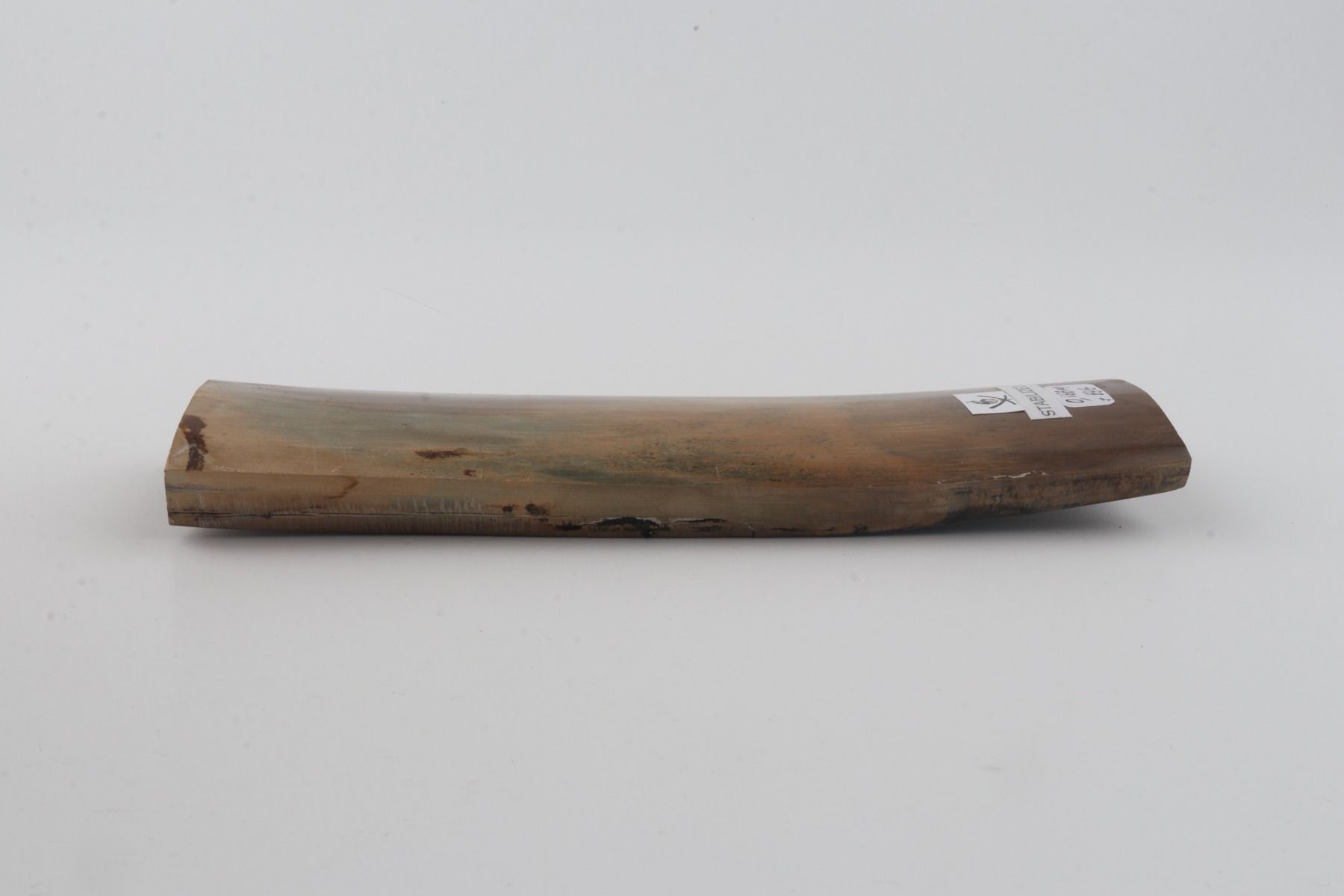 Stabilized mammoth bark