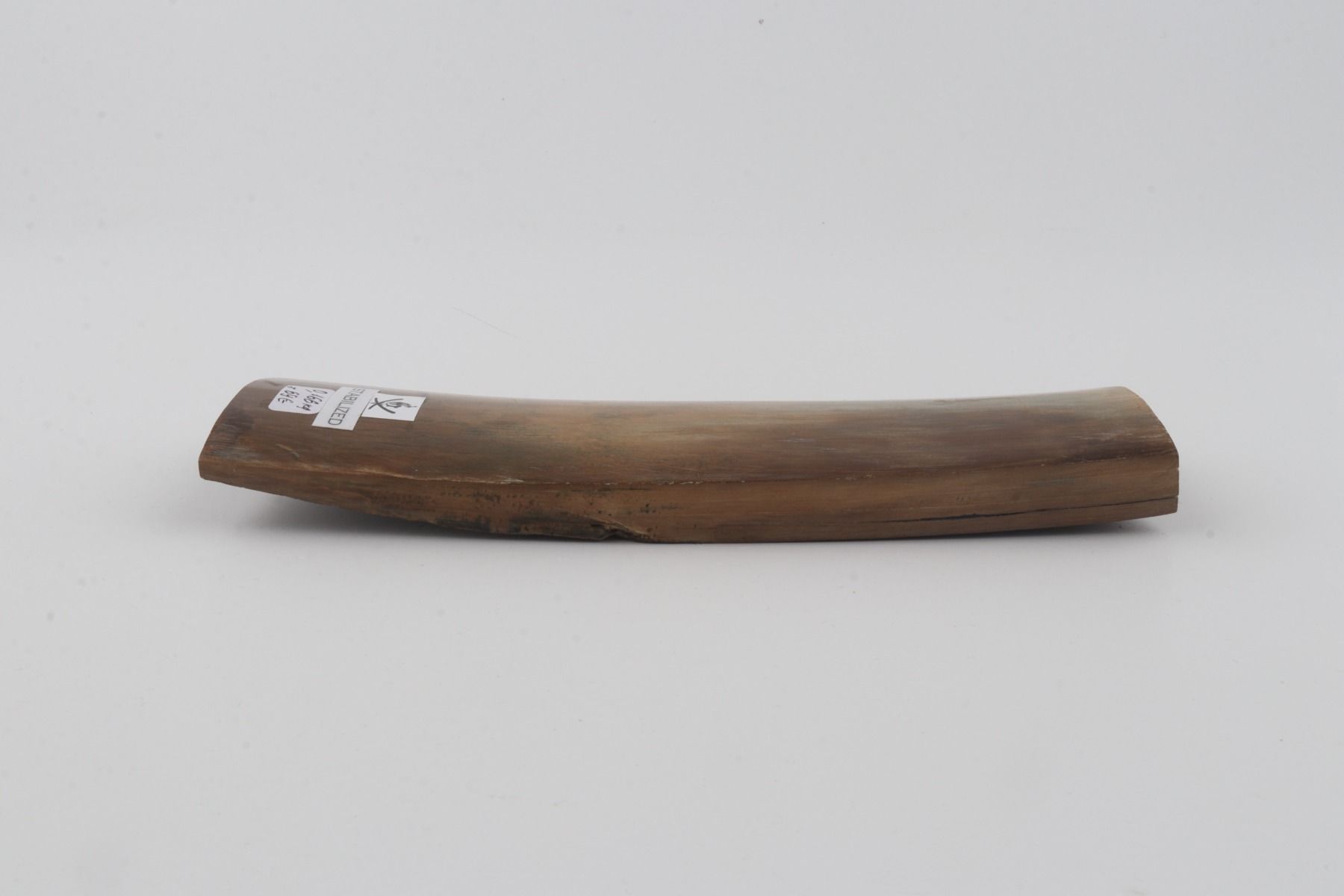 Stabilized mammoth bark