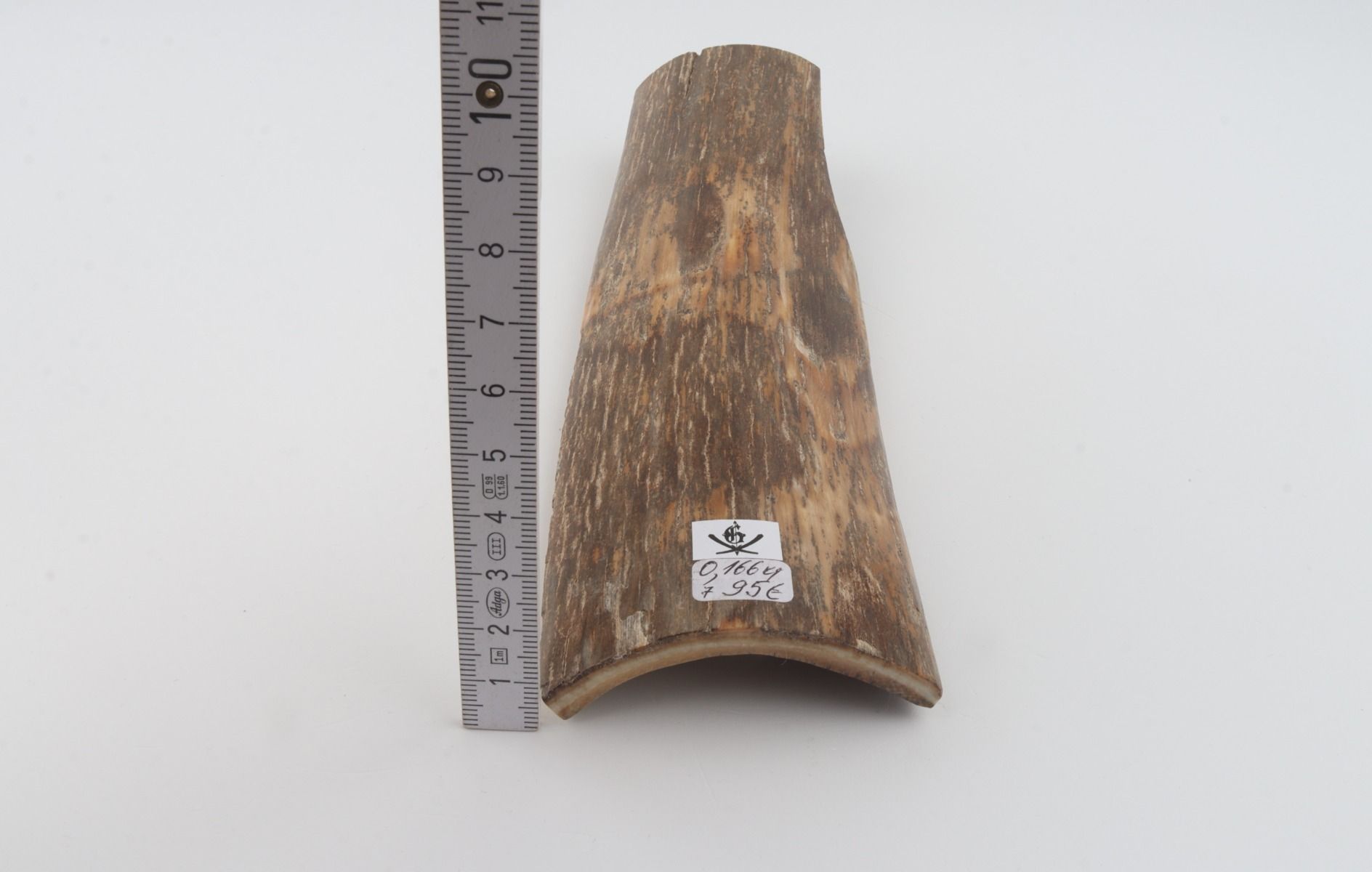 Beige mammoth bark
