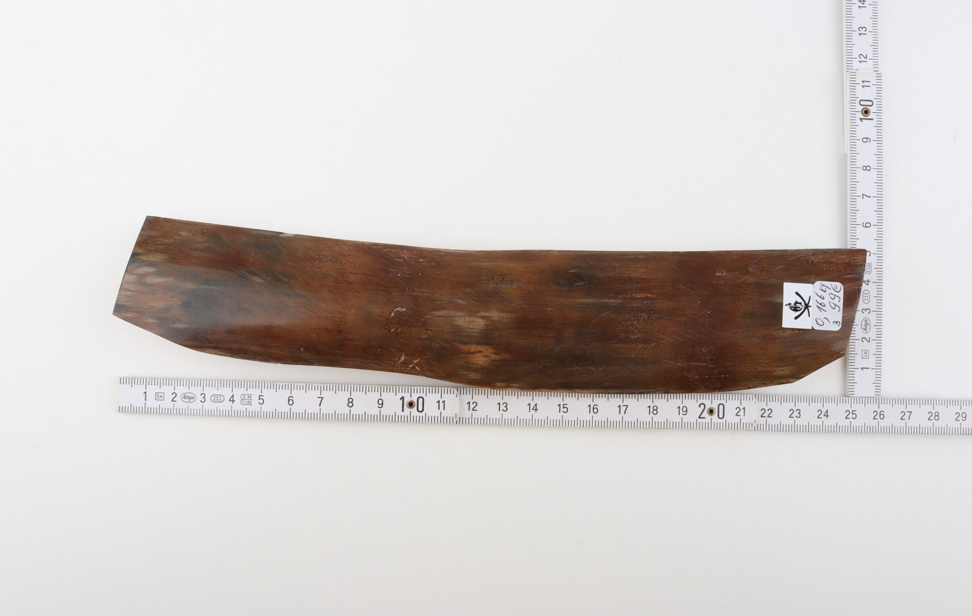 Brown mammoth bark