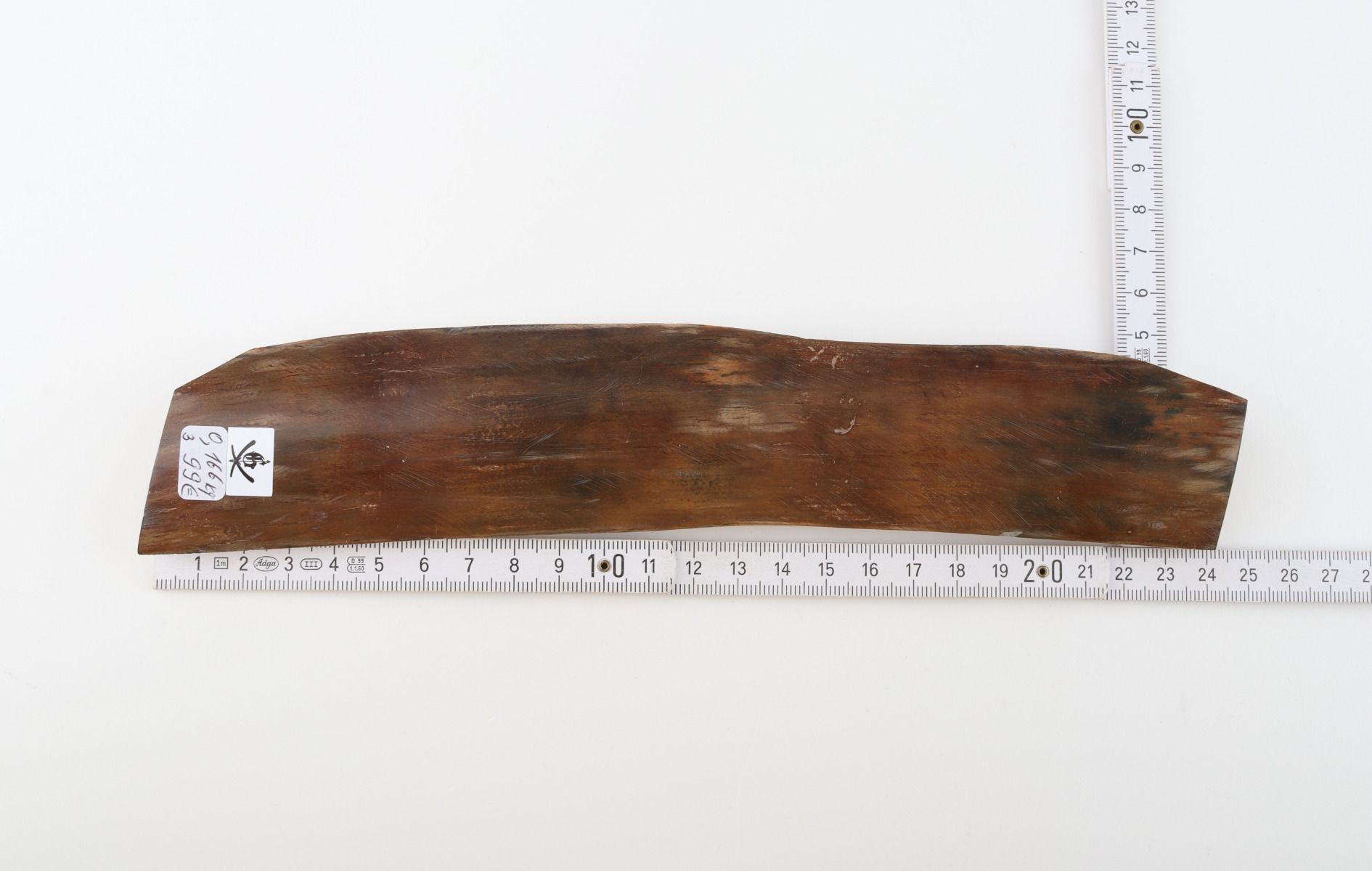 Brown mammoth bark