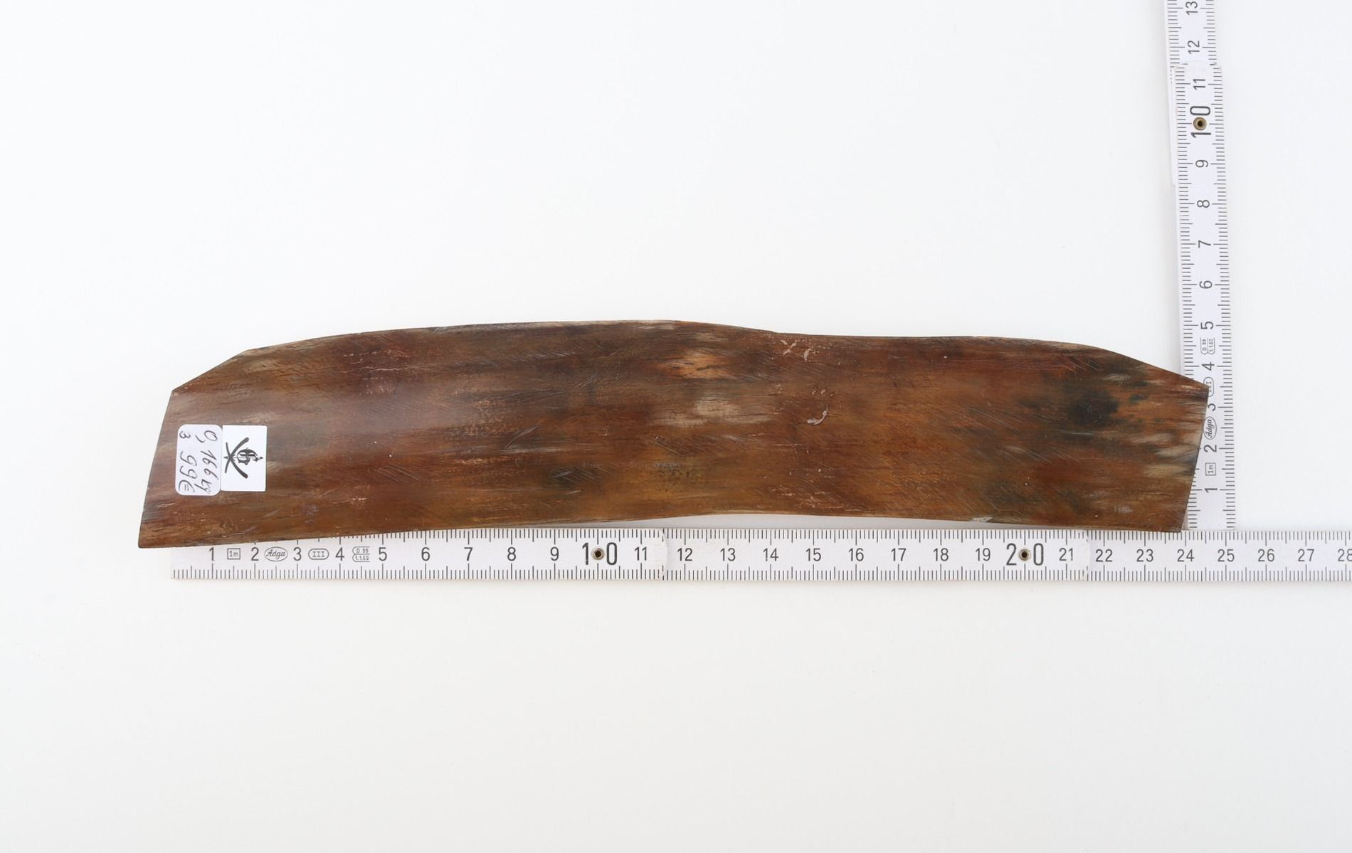 Brown mammoth bark