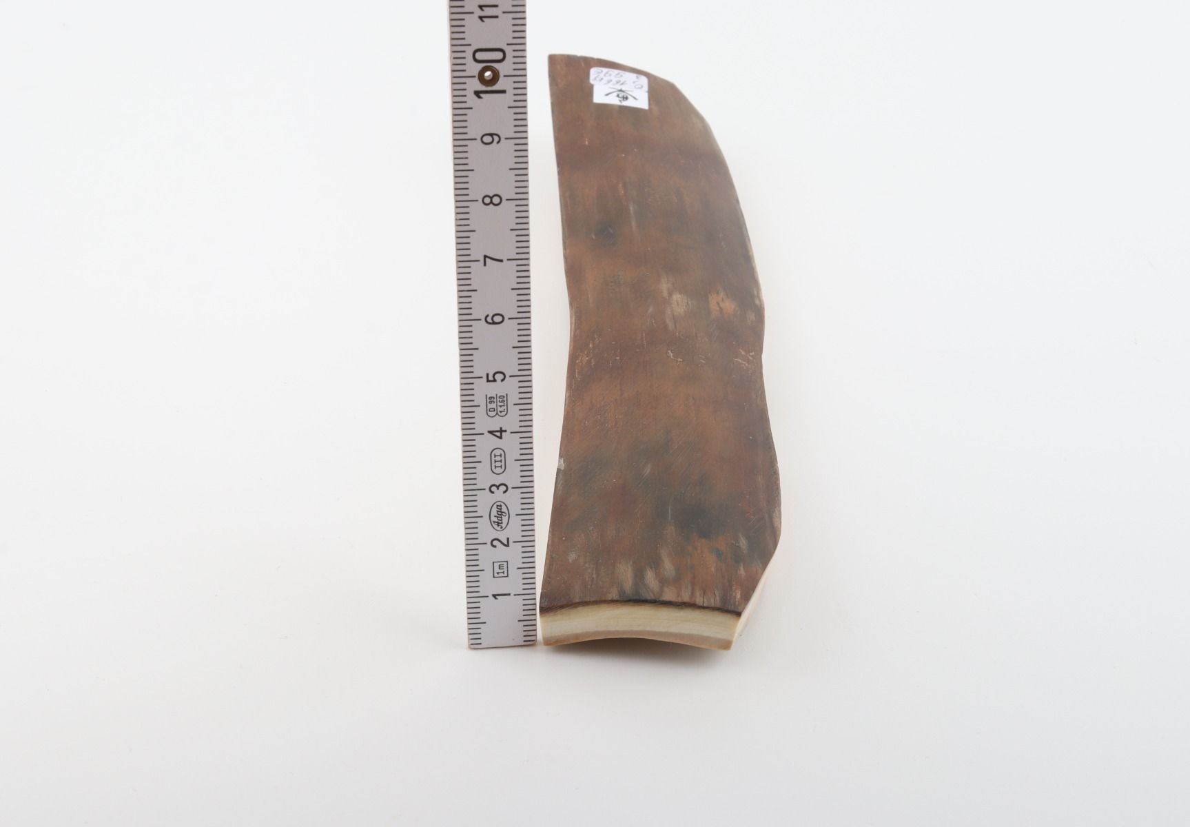Brown mammoth bark