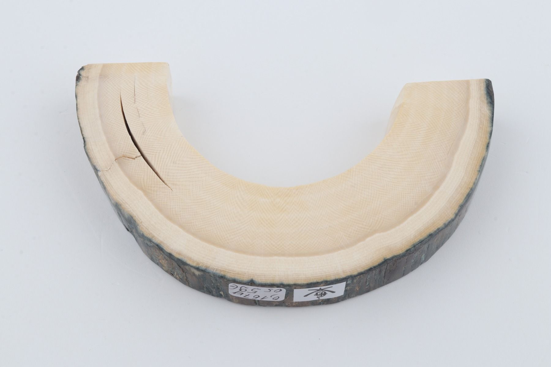 Natural mammoth ivory piece