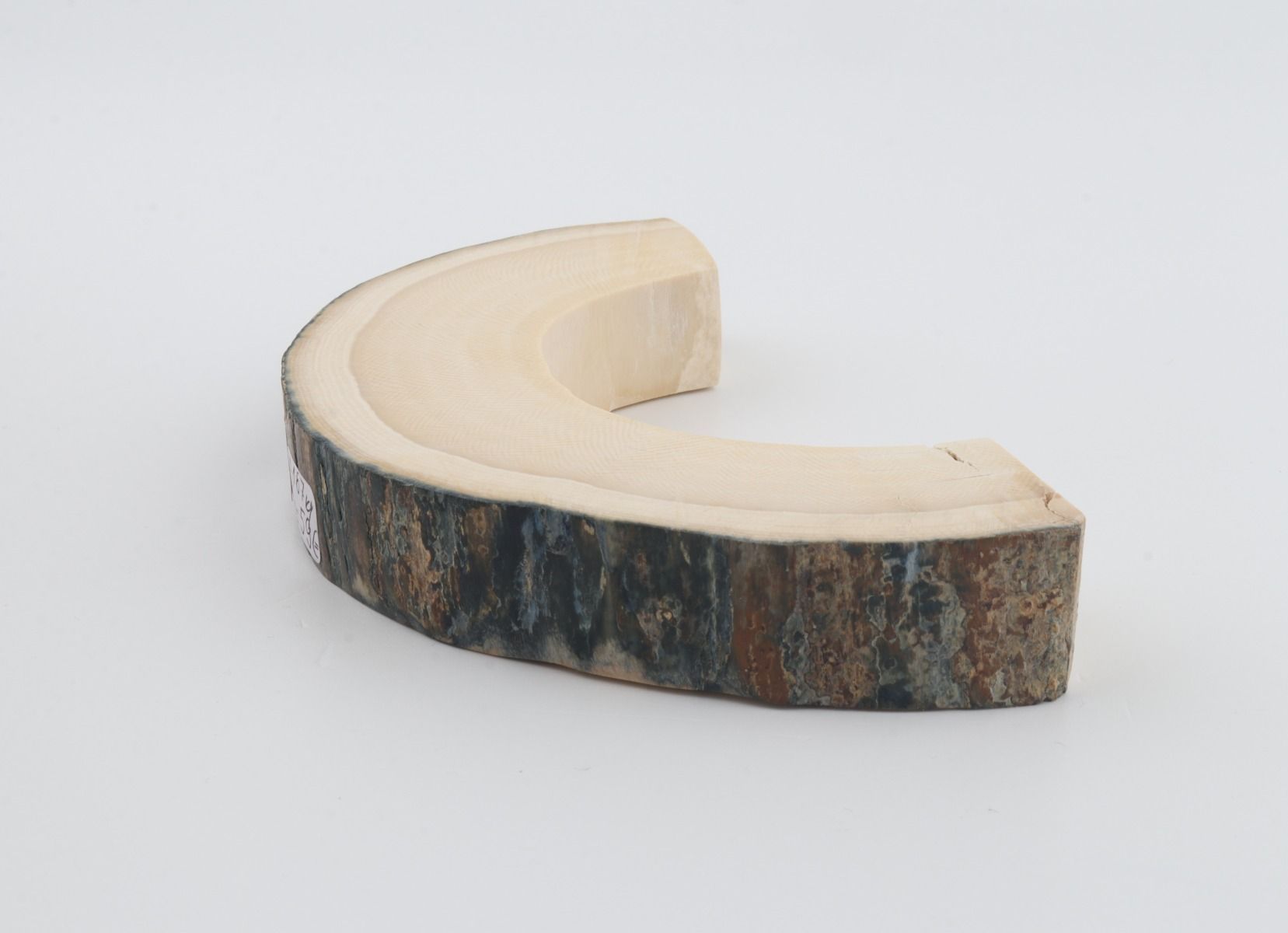 Natural mammoth ivory piece