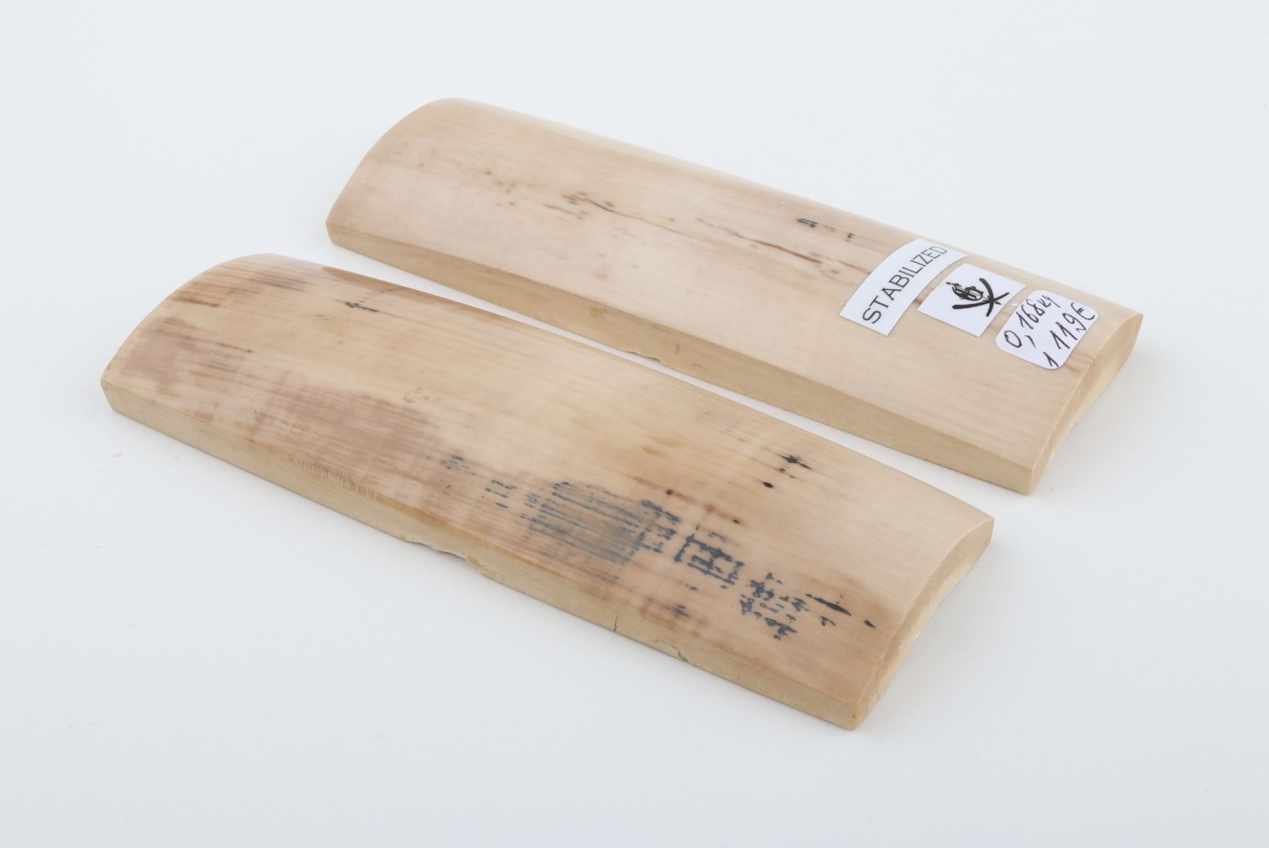 Stabilised mammoth bark scales