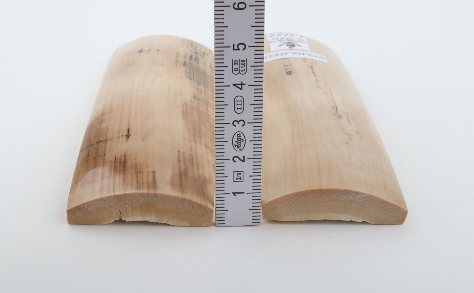 Stabilised mammoth bark scales