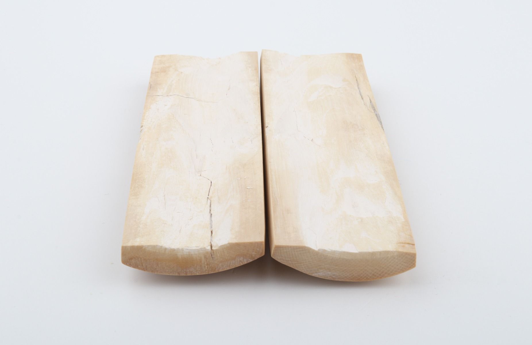 Stabilised mammoth bark scales