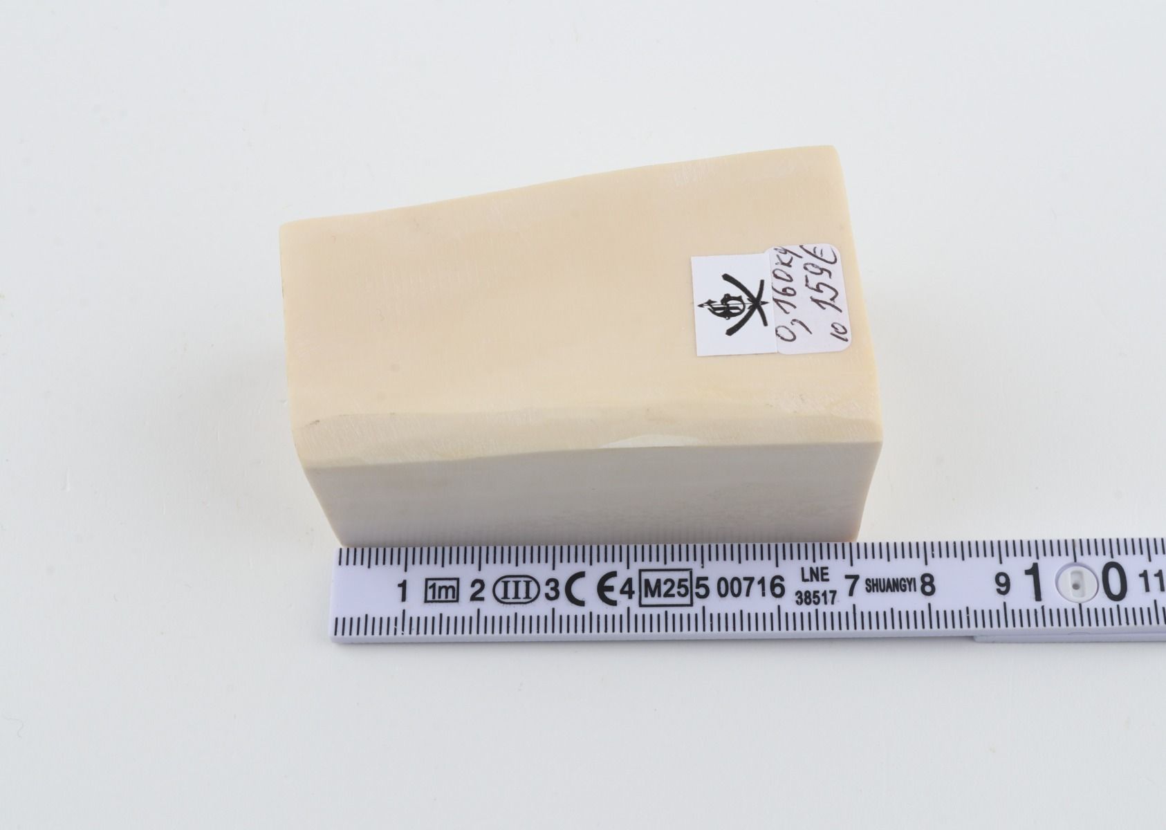 White mammoth ivory segment