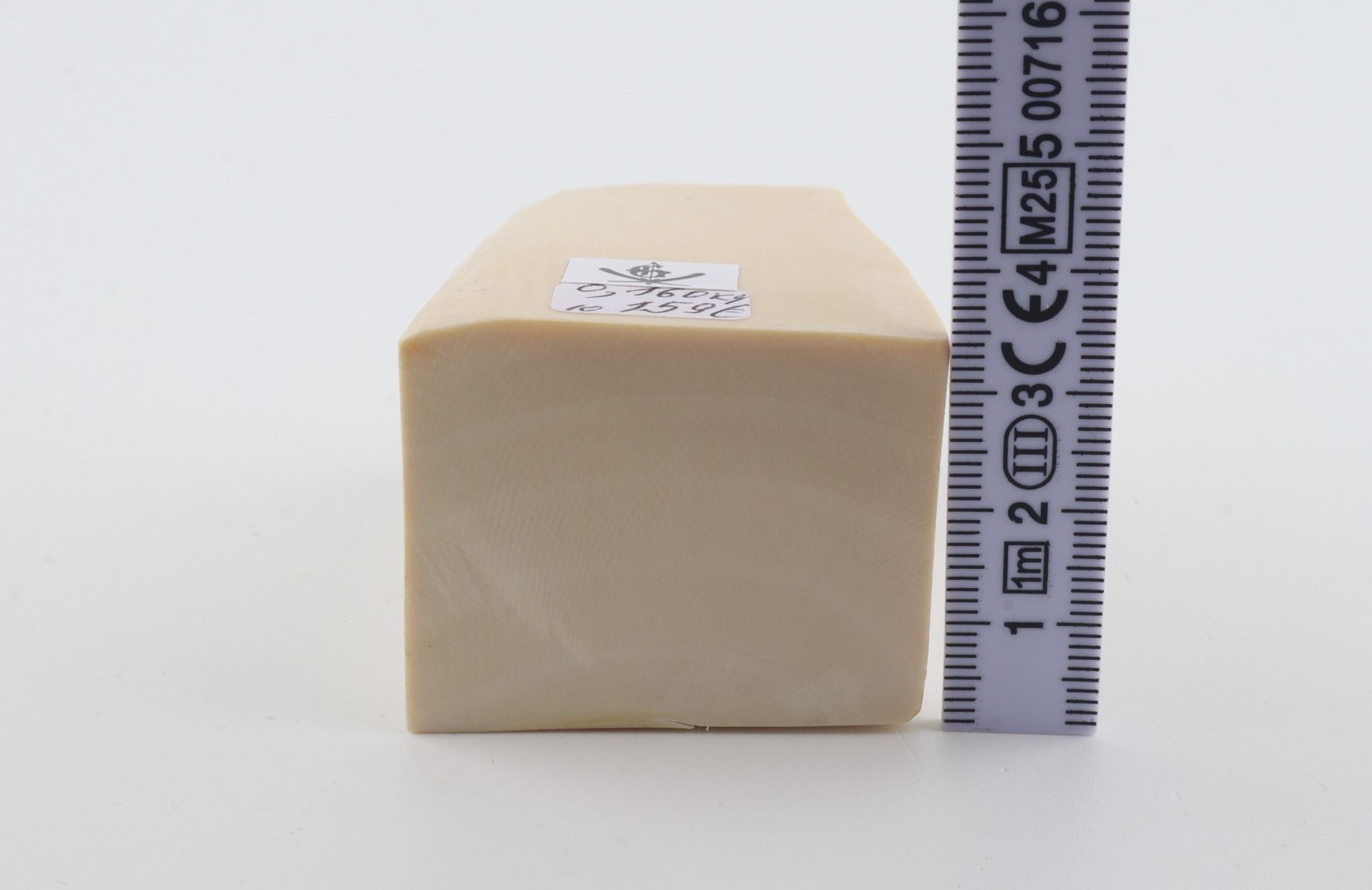 White mammoth ivory segment