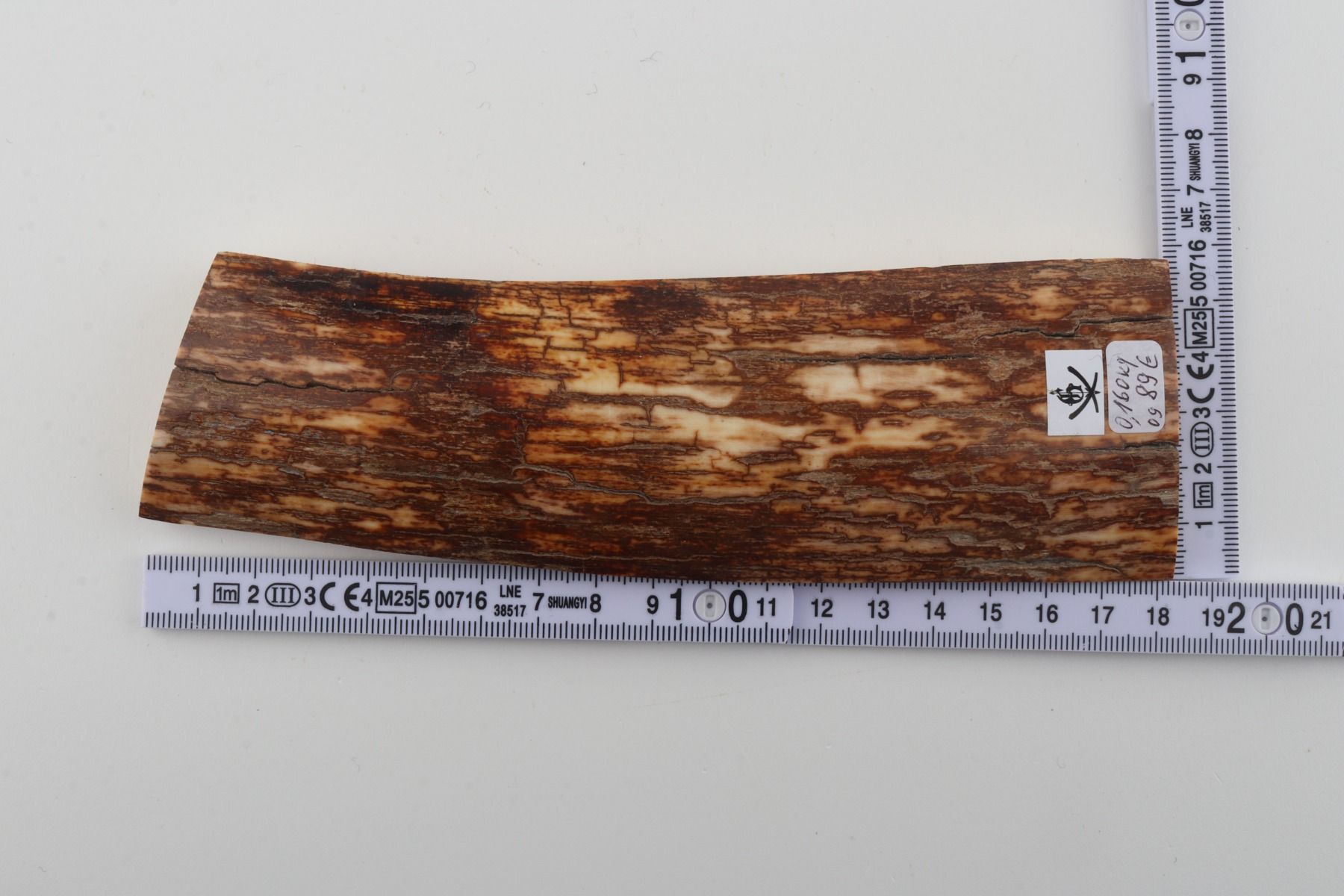 Orange-brown mammoth bark
