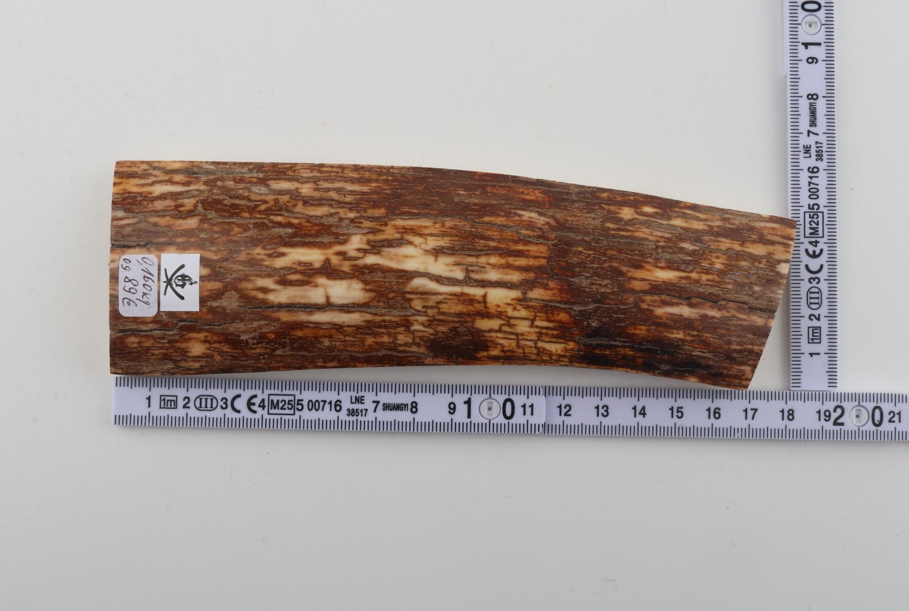 Orange-brown mammoth bark