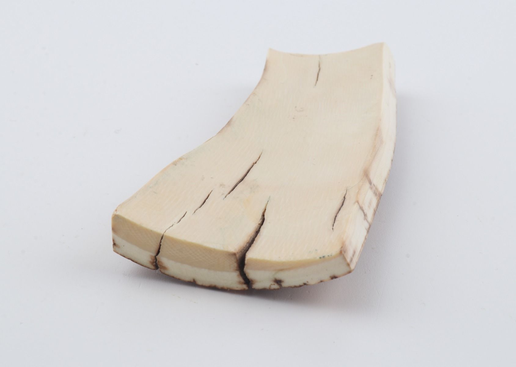 Orange-brown mammoth bark