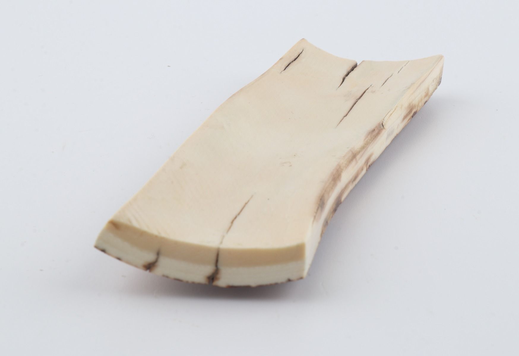 Orange-brown mammoth bark