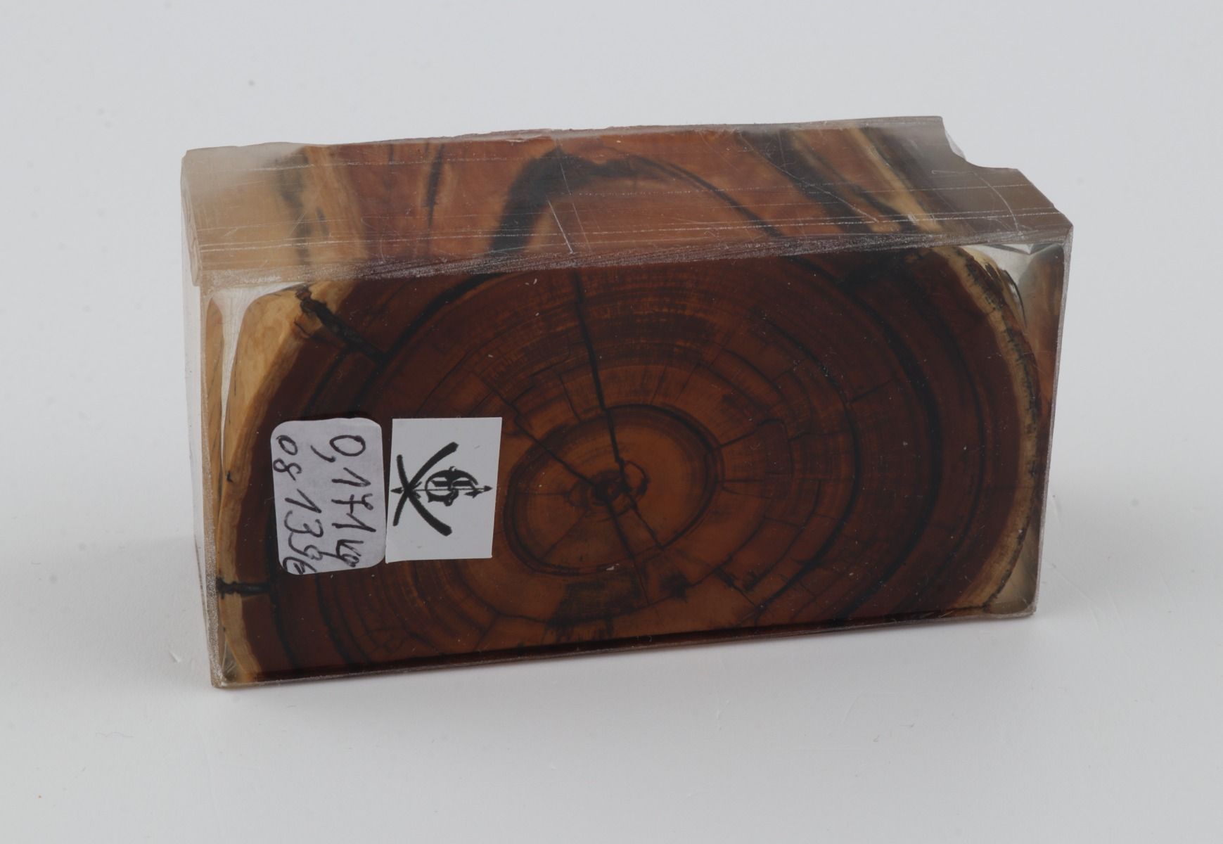 Stabilized mammoth ivory block