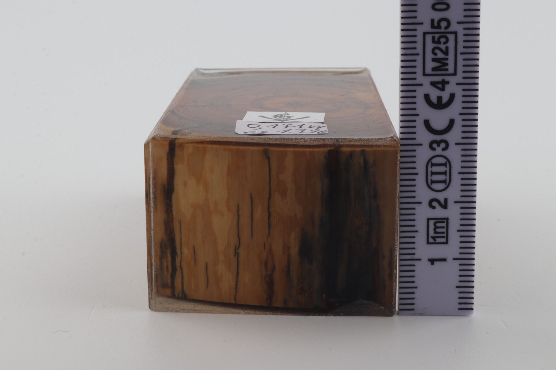 Stabilized mammoth ivory block