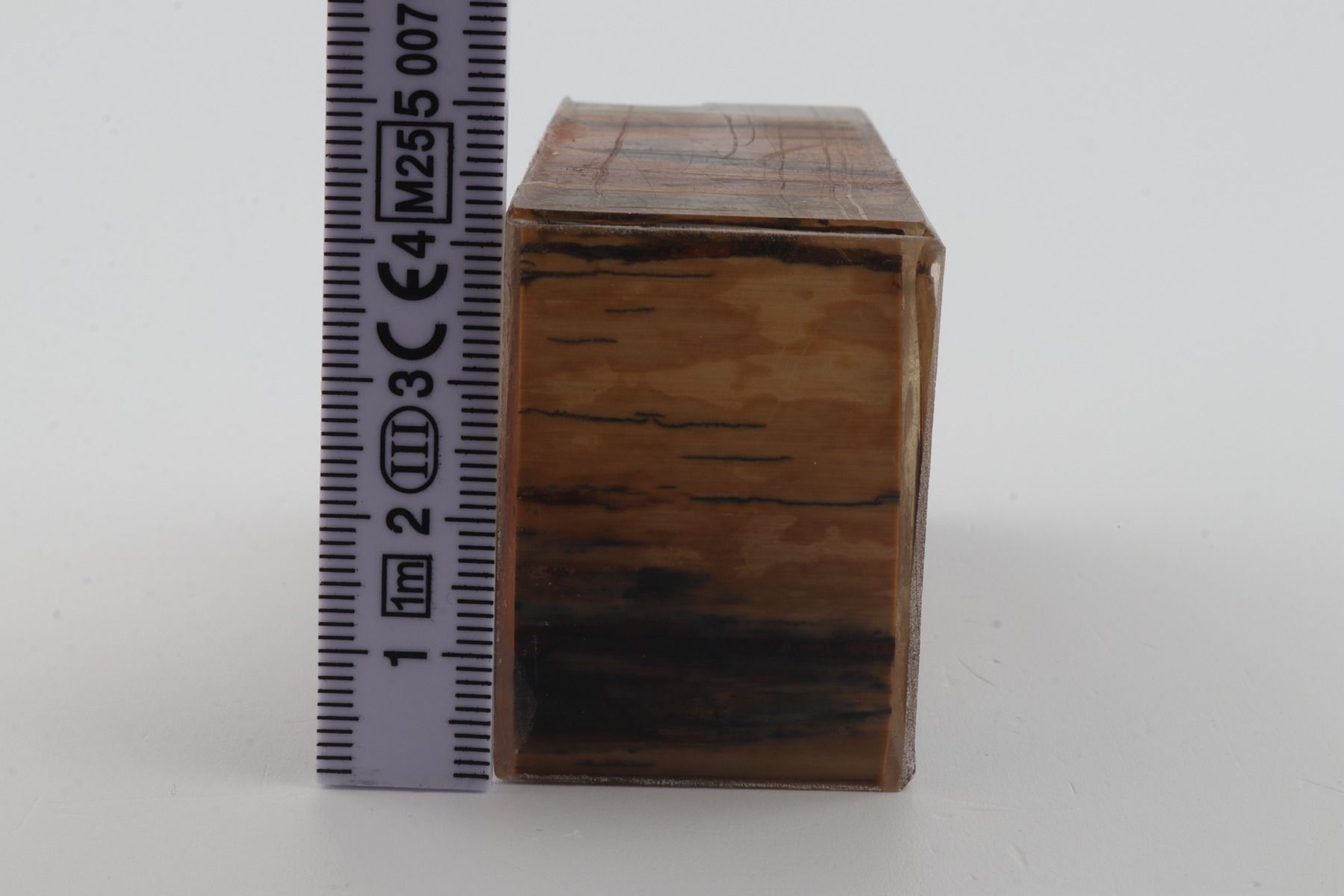 Stabilized mammoth ivory block