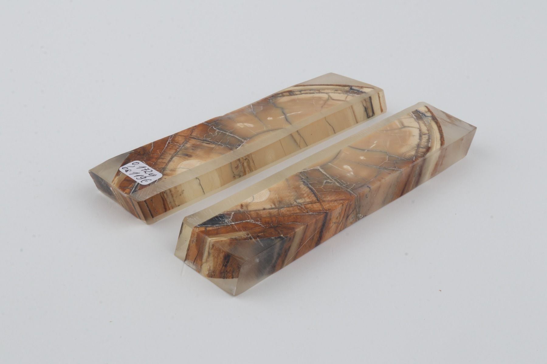 Stabilized mammoth ivory scales