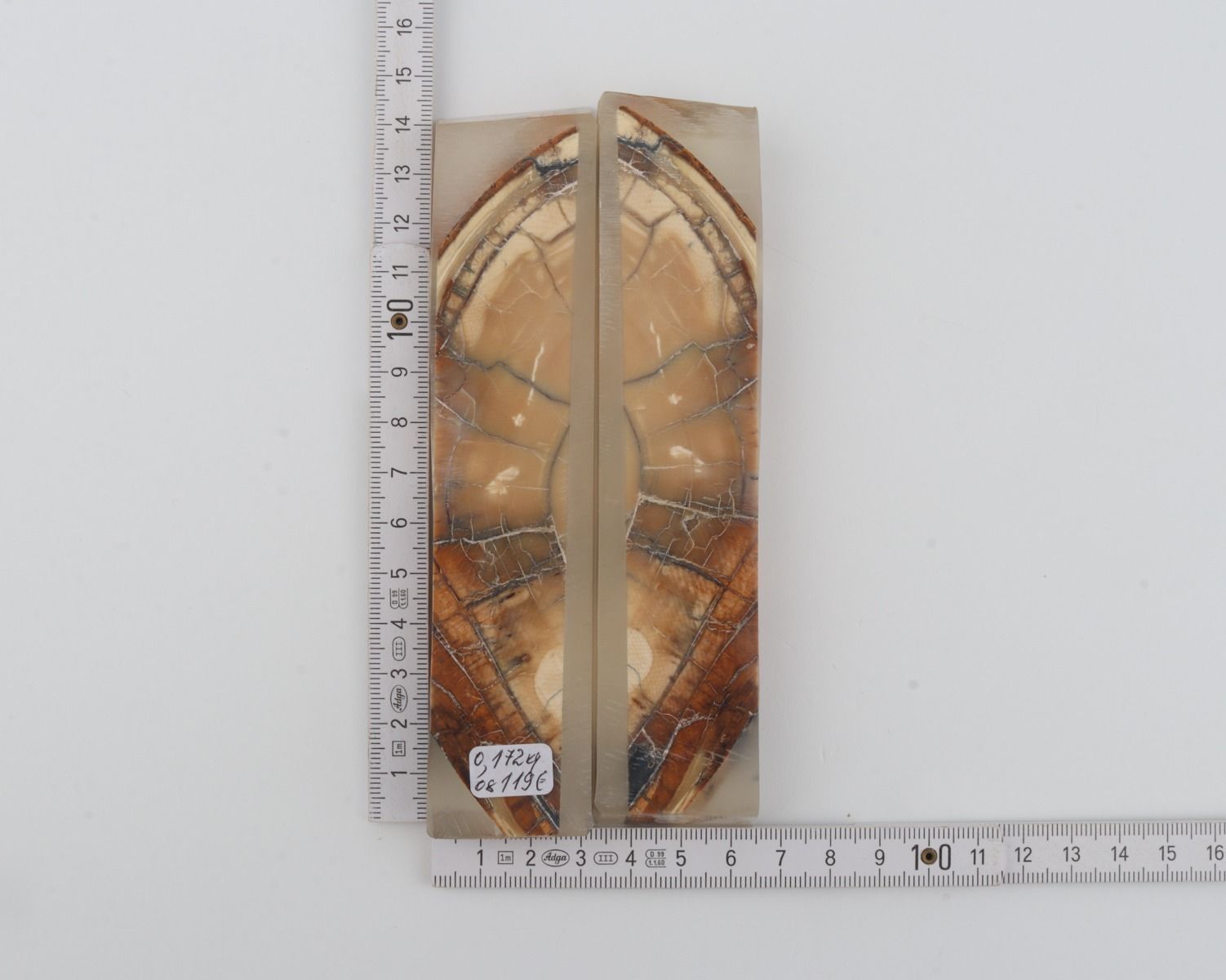 Stabilized mammoth ivory scales