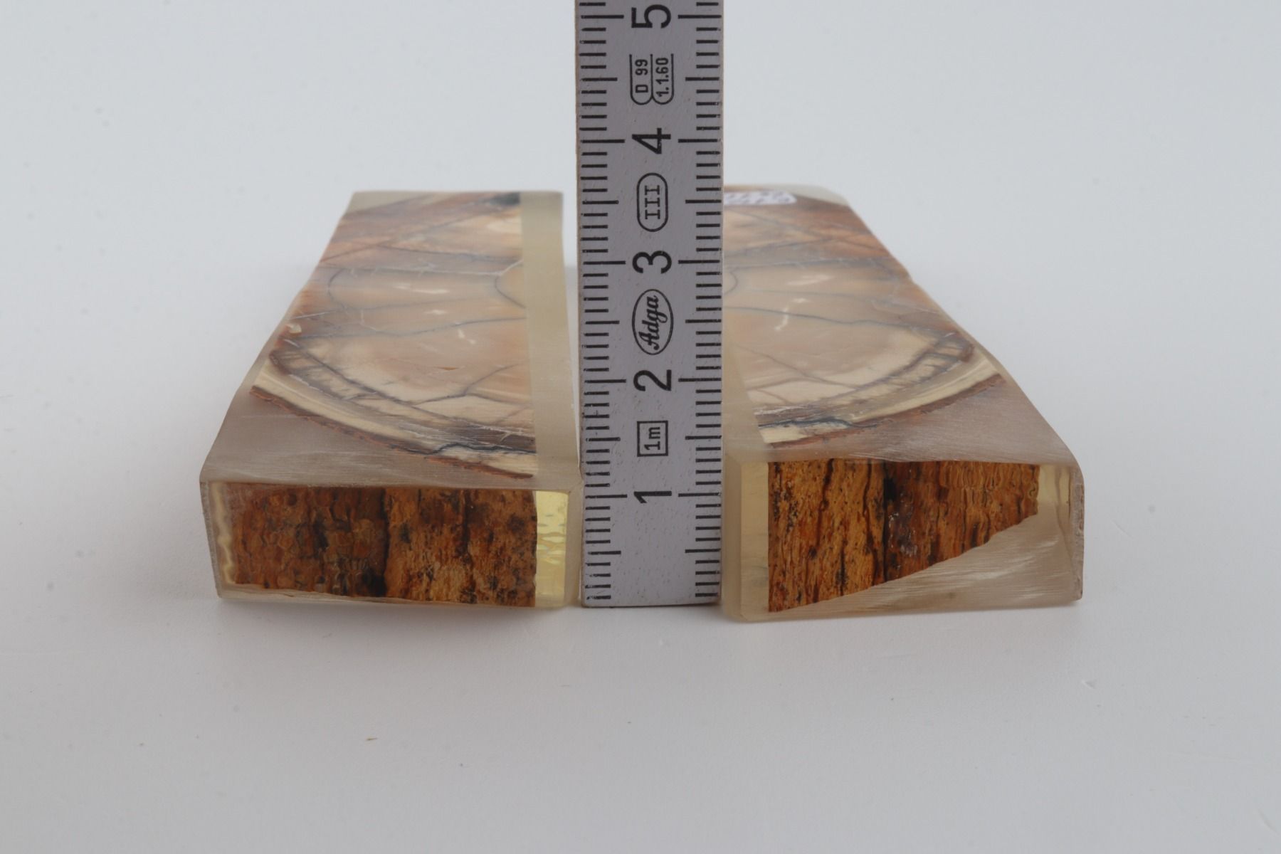 Stabilized mammoth ivory scales