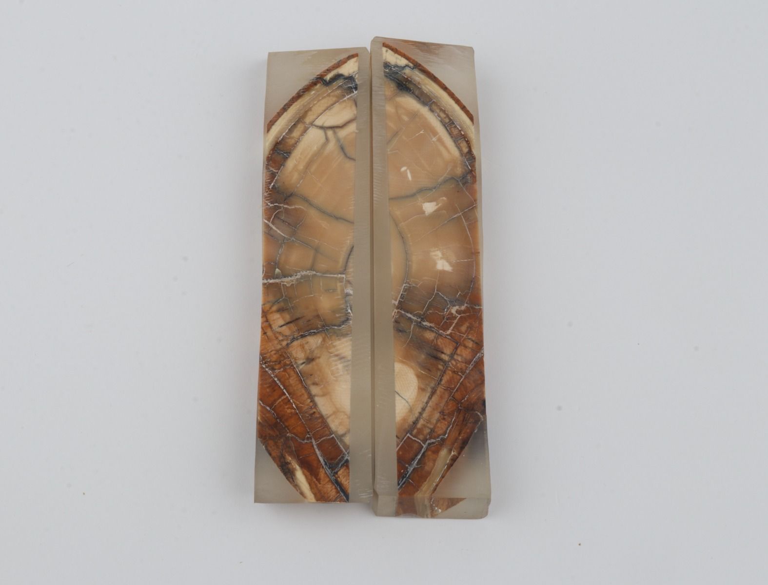 Stabilized mammoth ivory scales