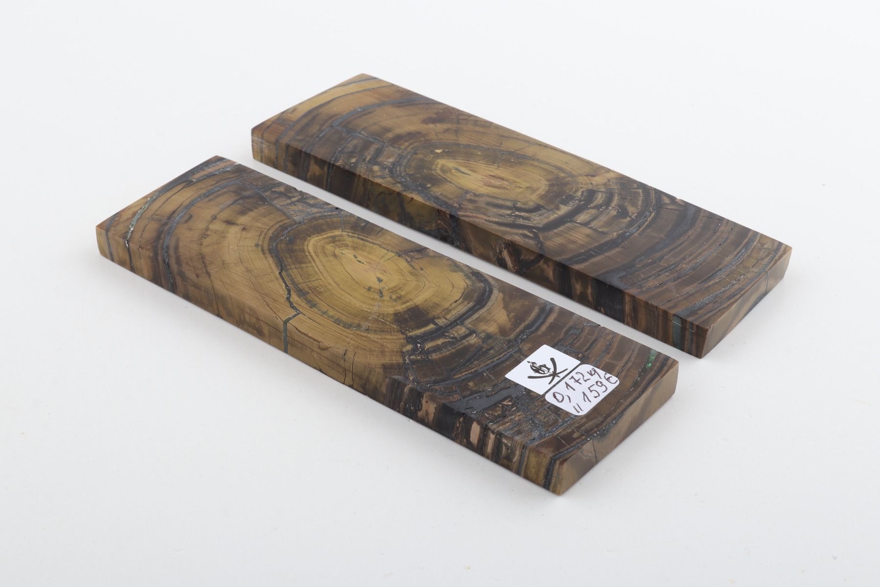 Stabilised mammoth ivory scales