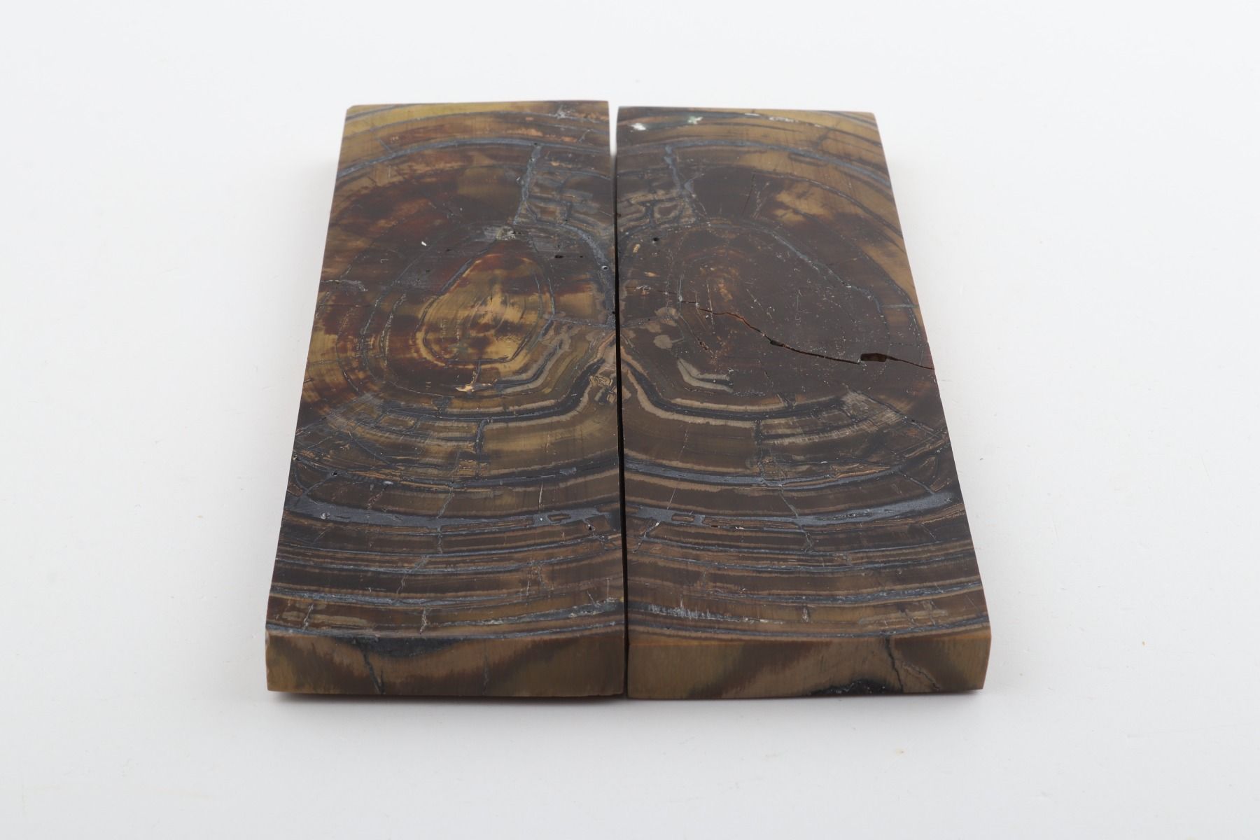 Stabilised mammoth ivory scales