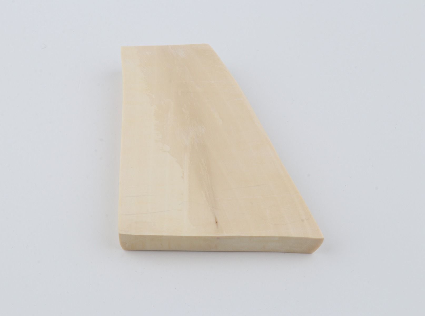 White mammoth ivory segment