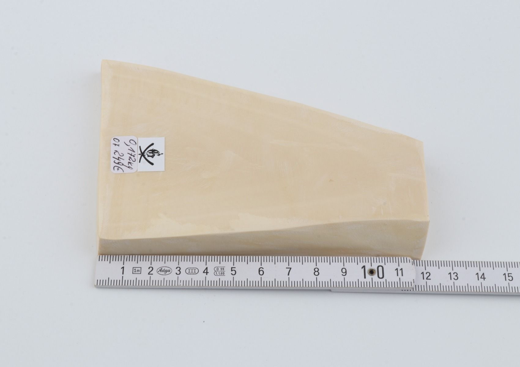 White mammoth ivory segment