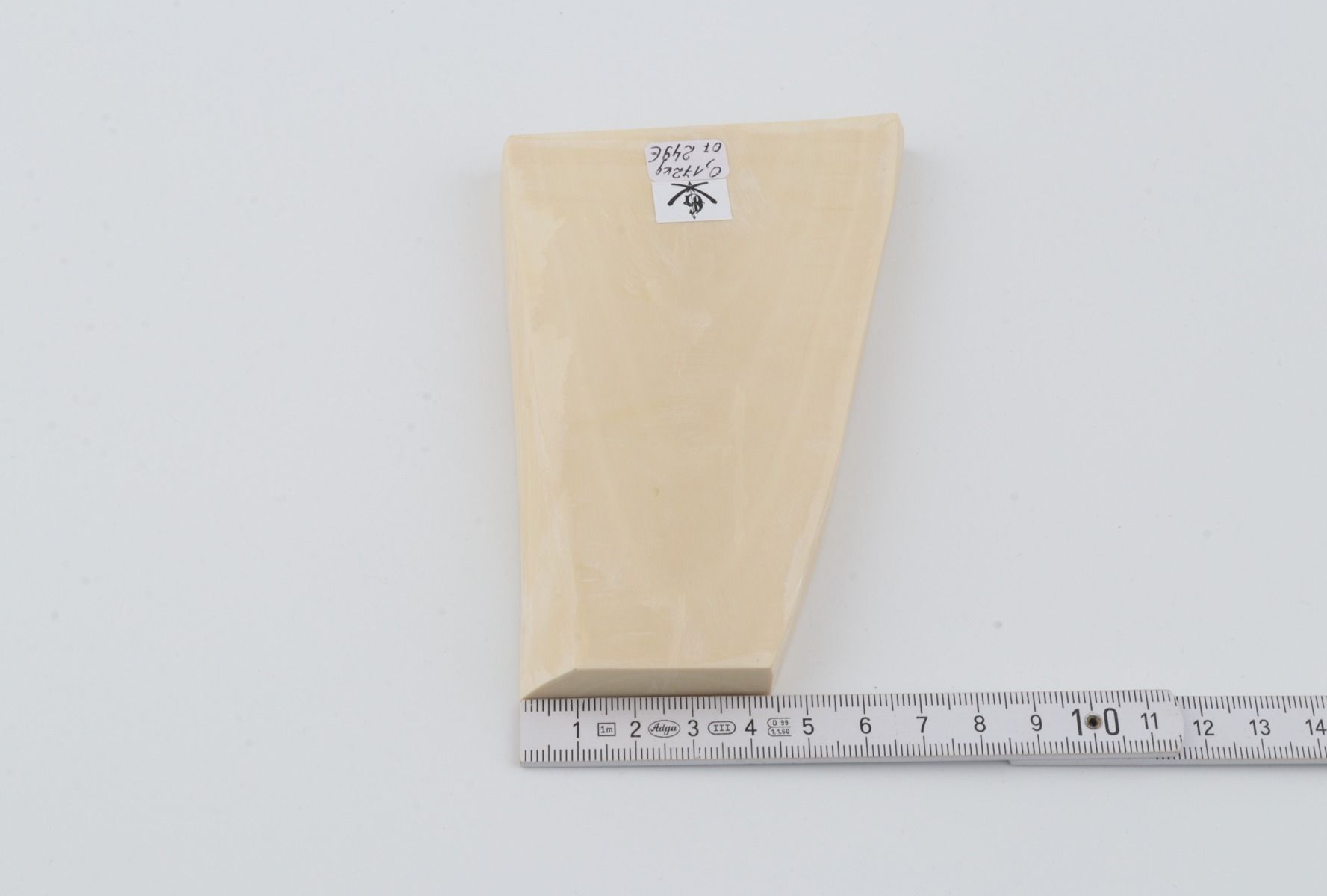 White mammoth ivory segment