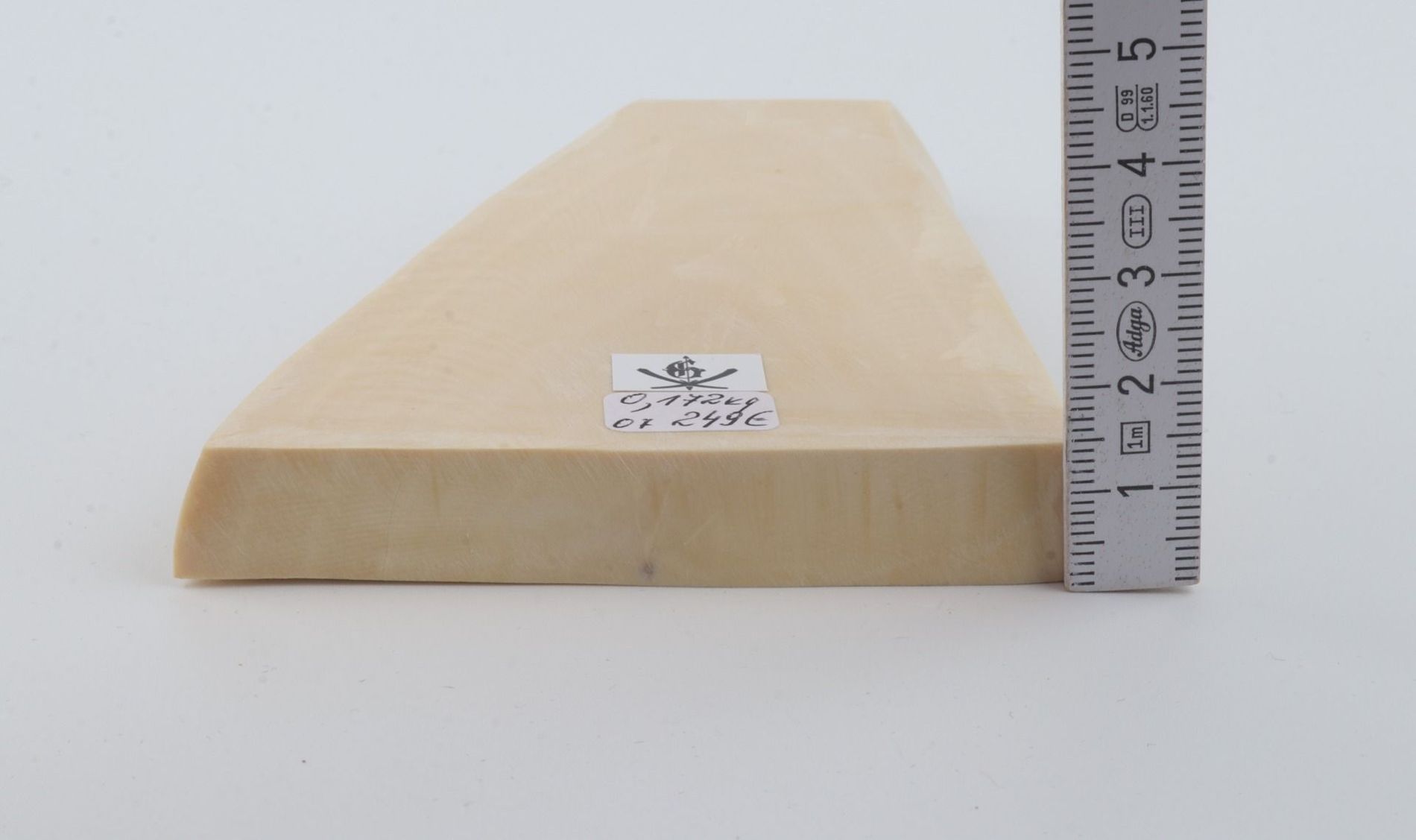 White mammoth ivory segment