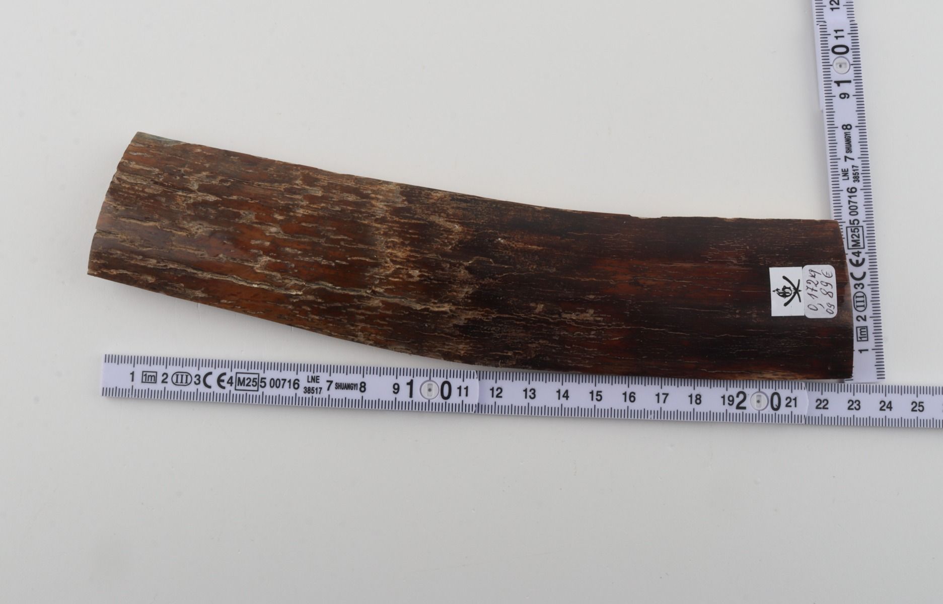 Brown mammoth bark