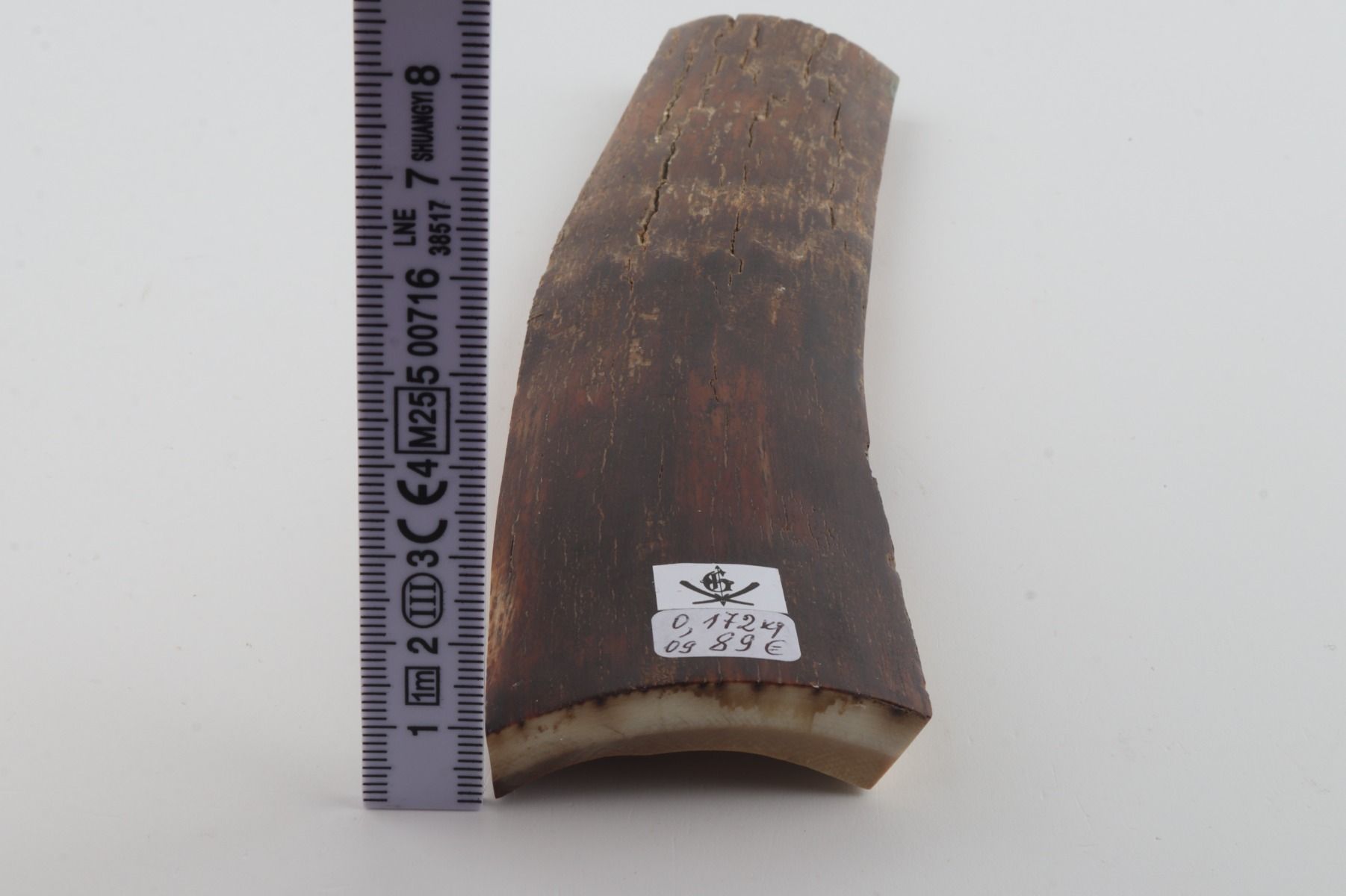 Brown mammoth bark