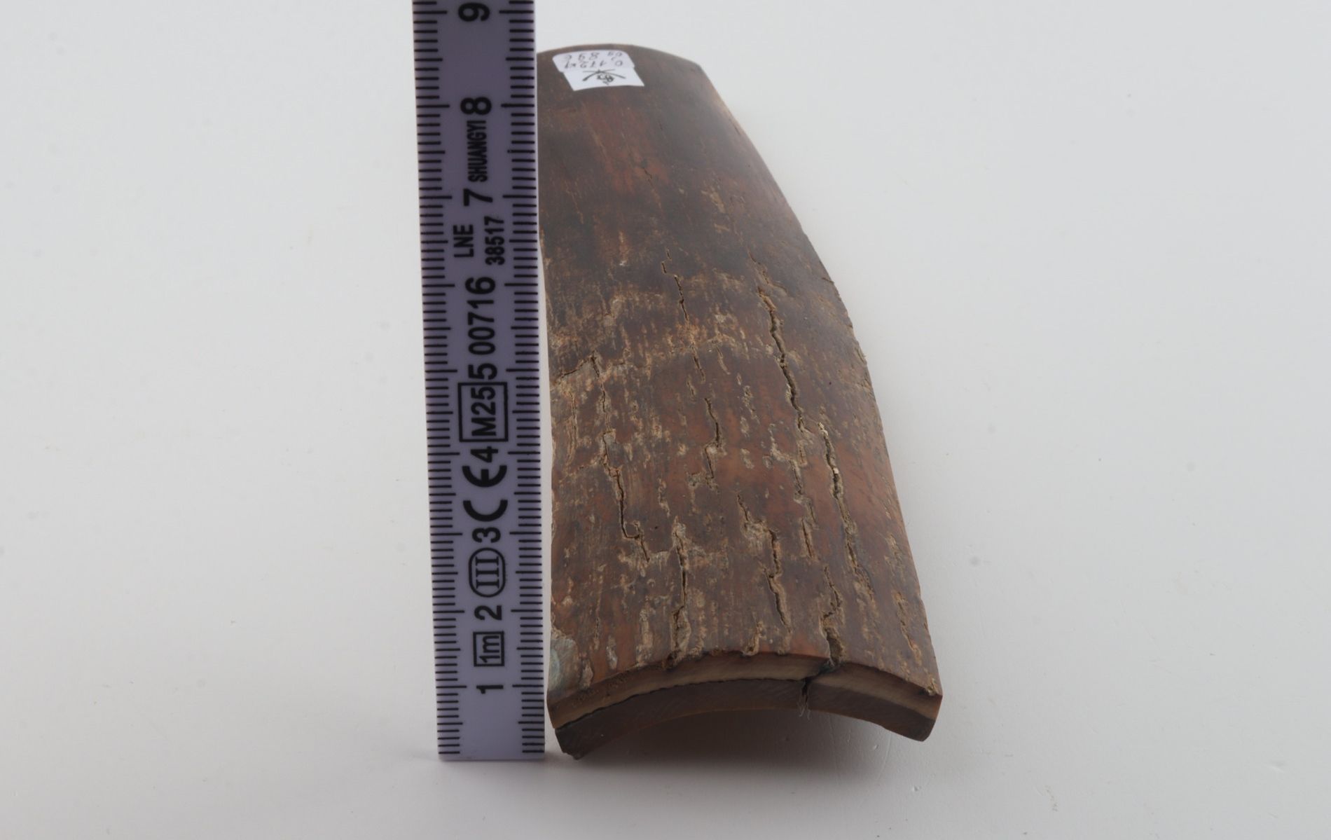 Brown mammoth bark