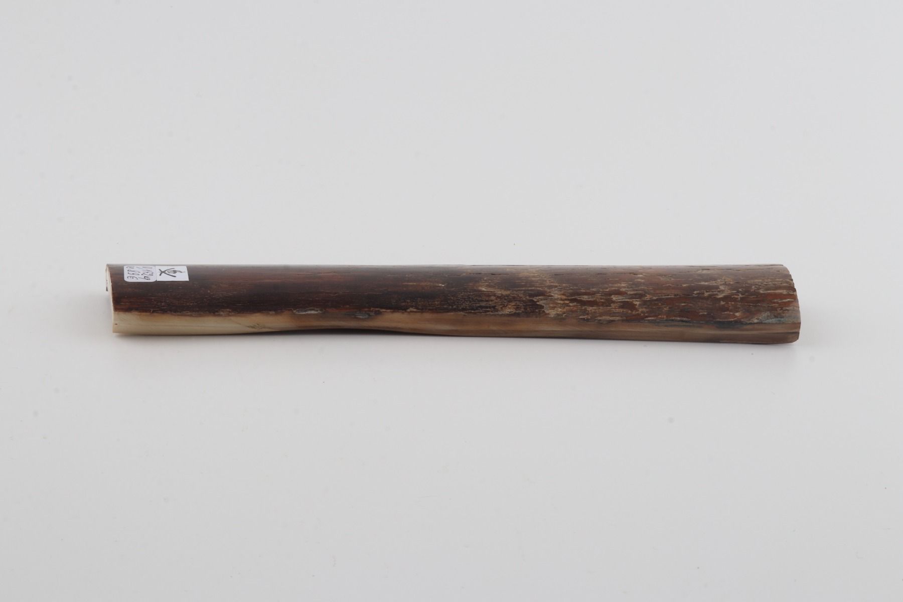 Brown mammoth bark