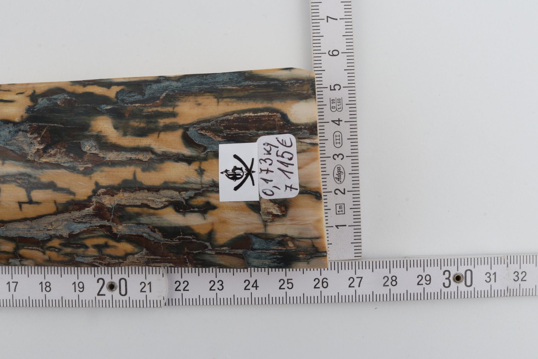Blue-brown mammoth bark