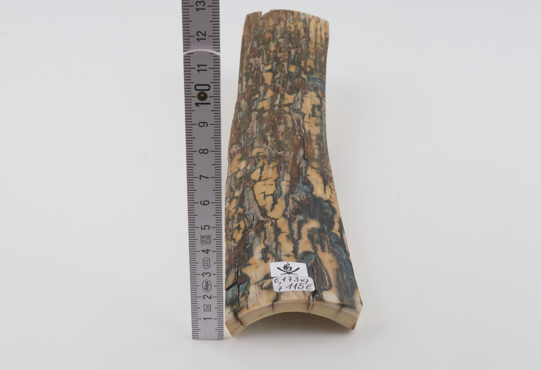 Blue-brown mammoth bark