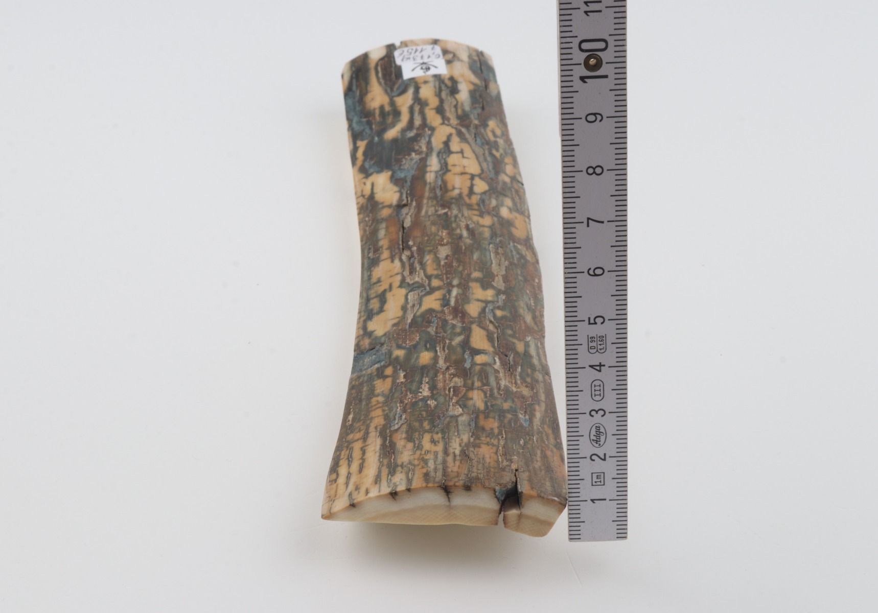 Blue-brown mammoth bark