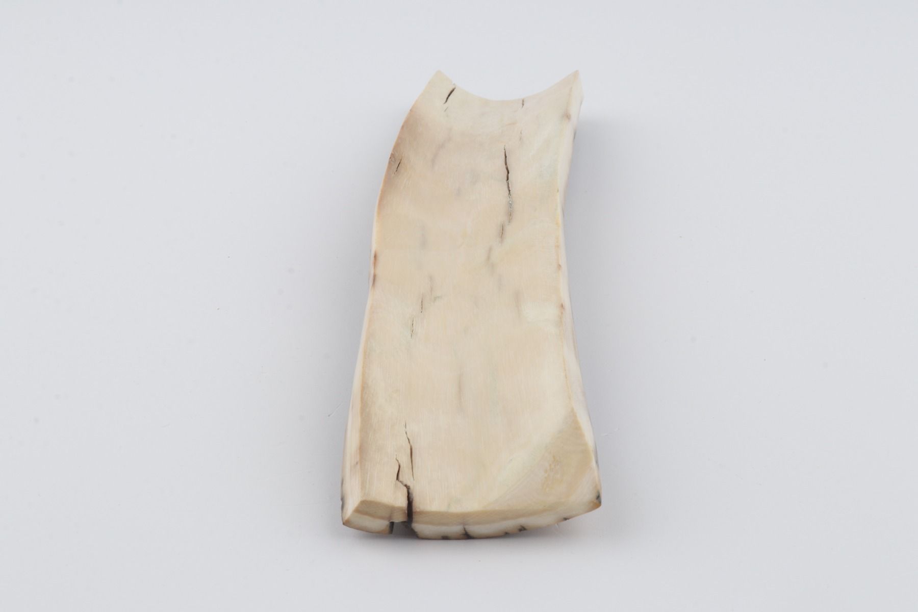 Blue-brown mammoth bark